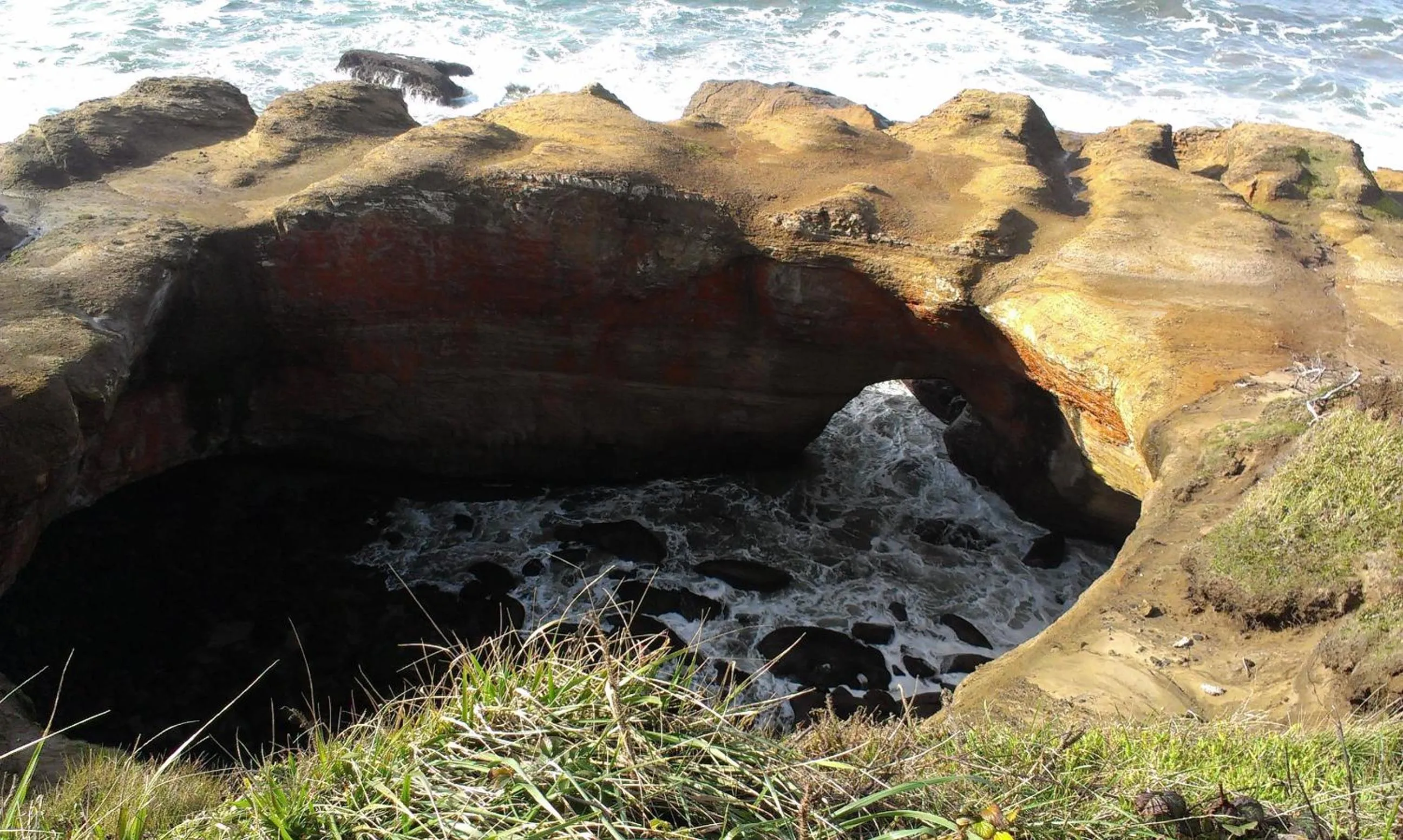 Natural landscape in Summer Wind Budget Motel