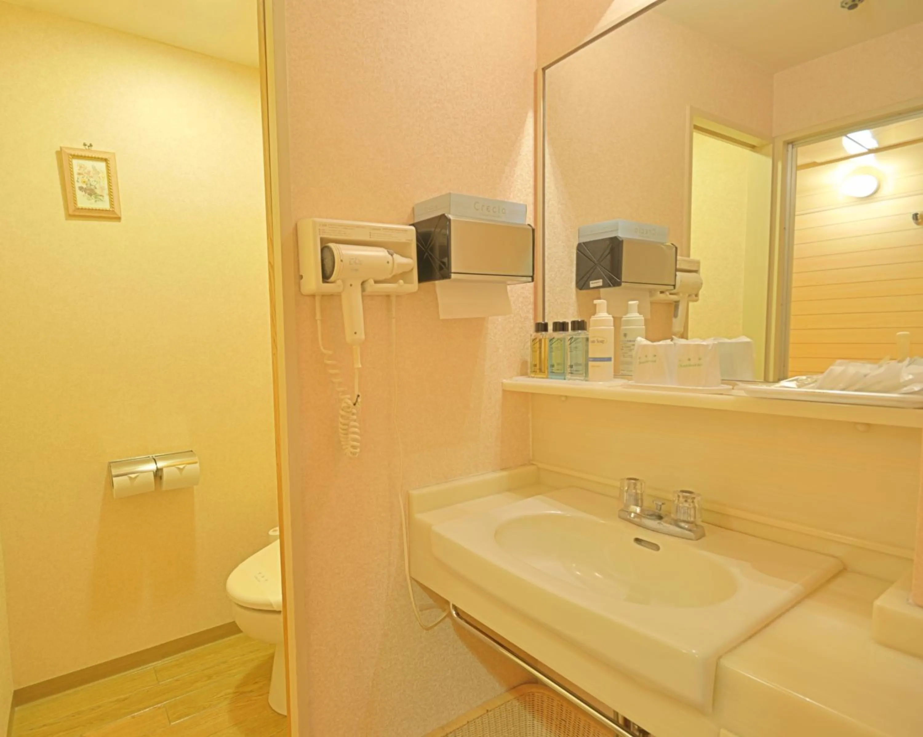 Toilet in Hotel Okada