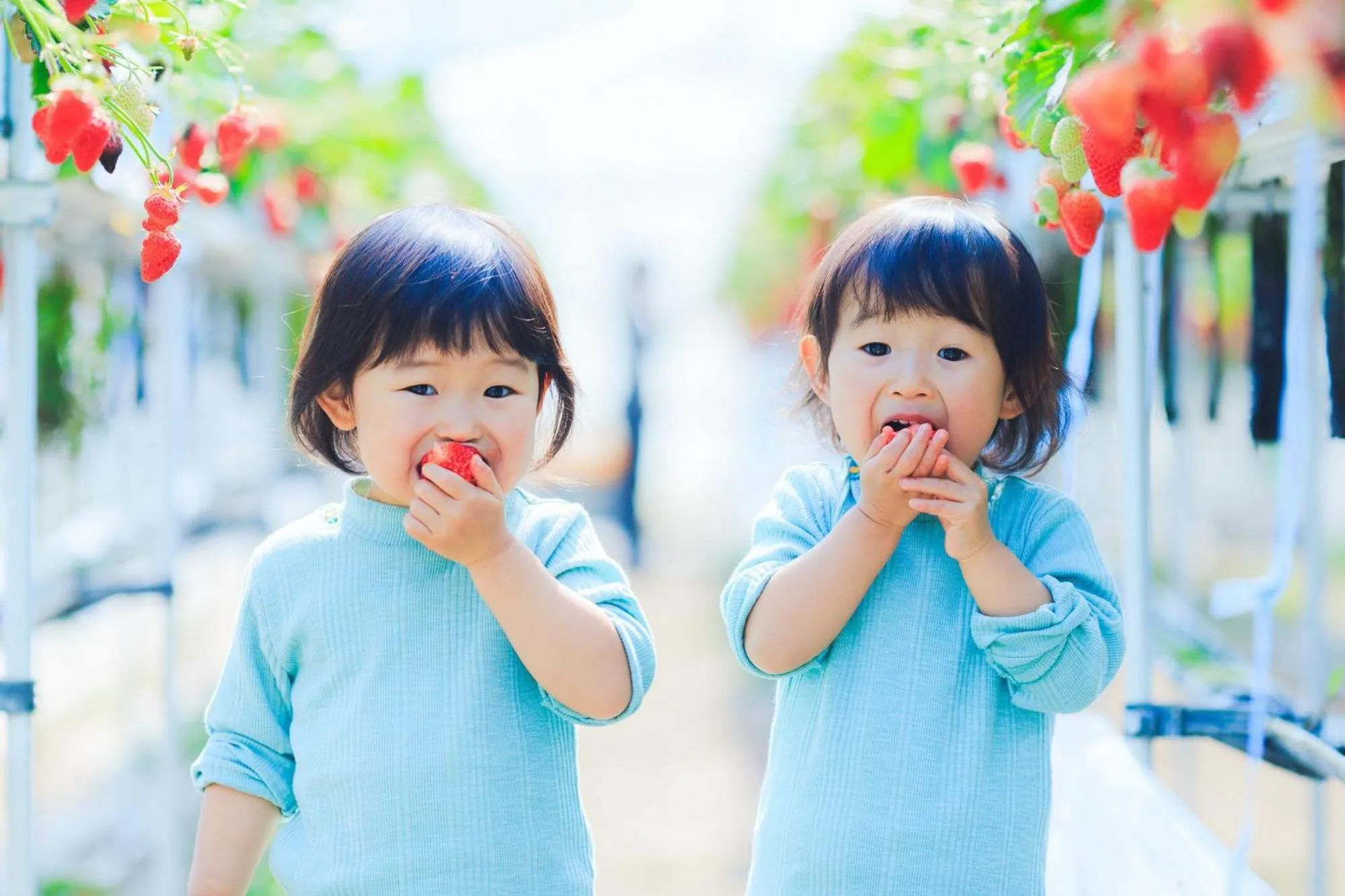 Children in Royal Hotel Munakata