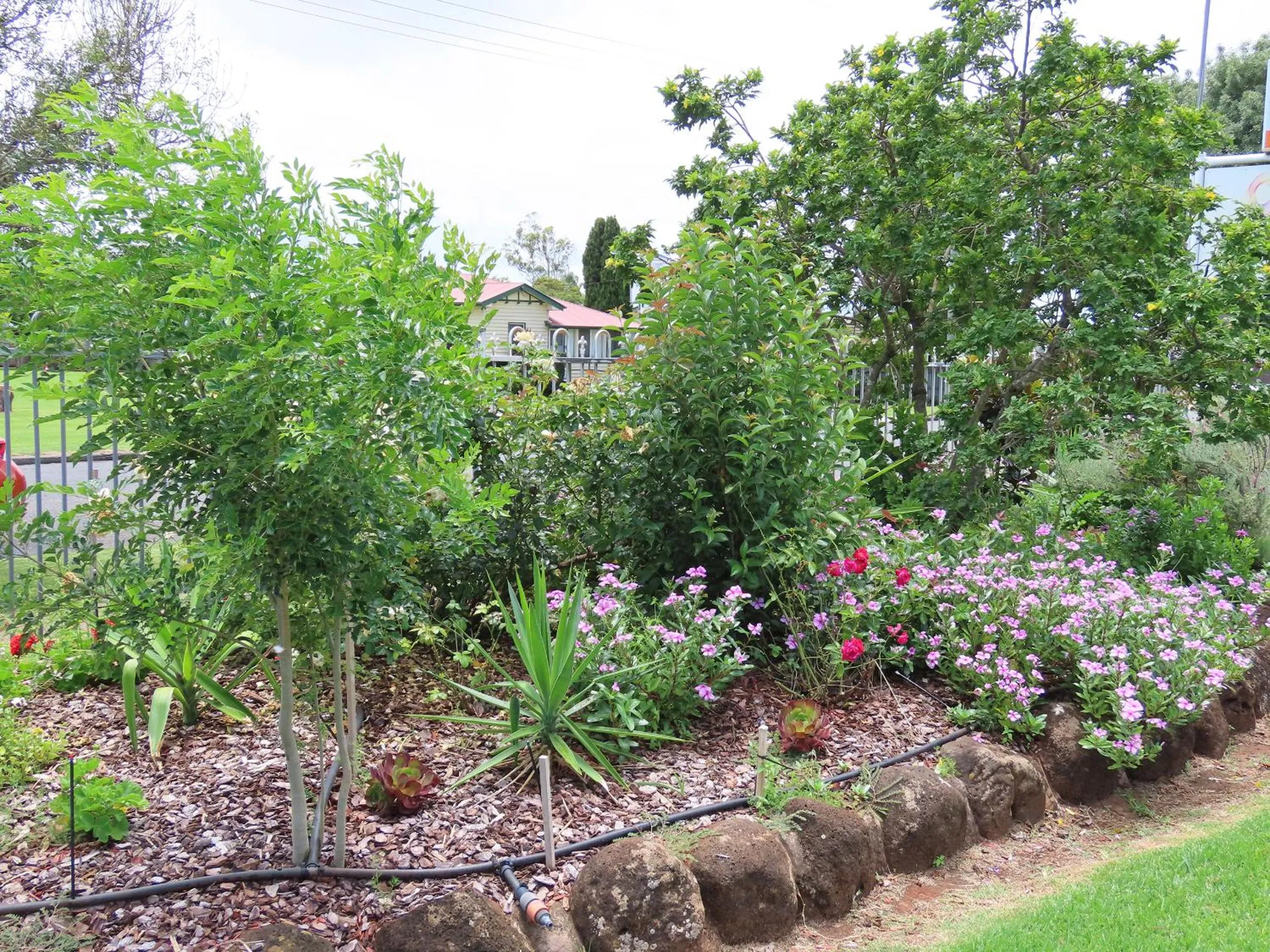 Garden view in BIG4 Toowoomba Garden City Holiday Park