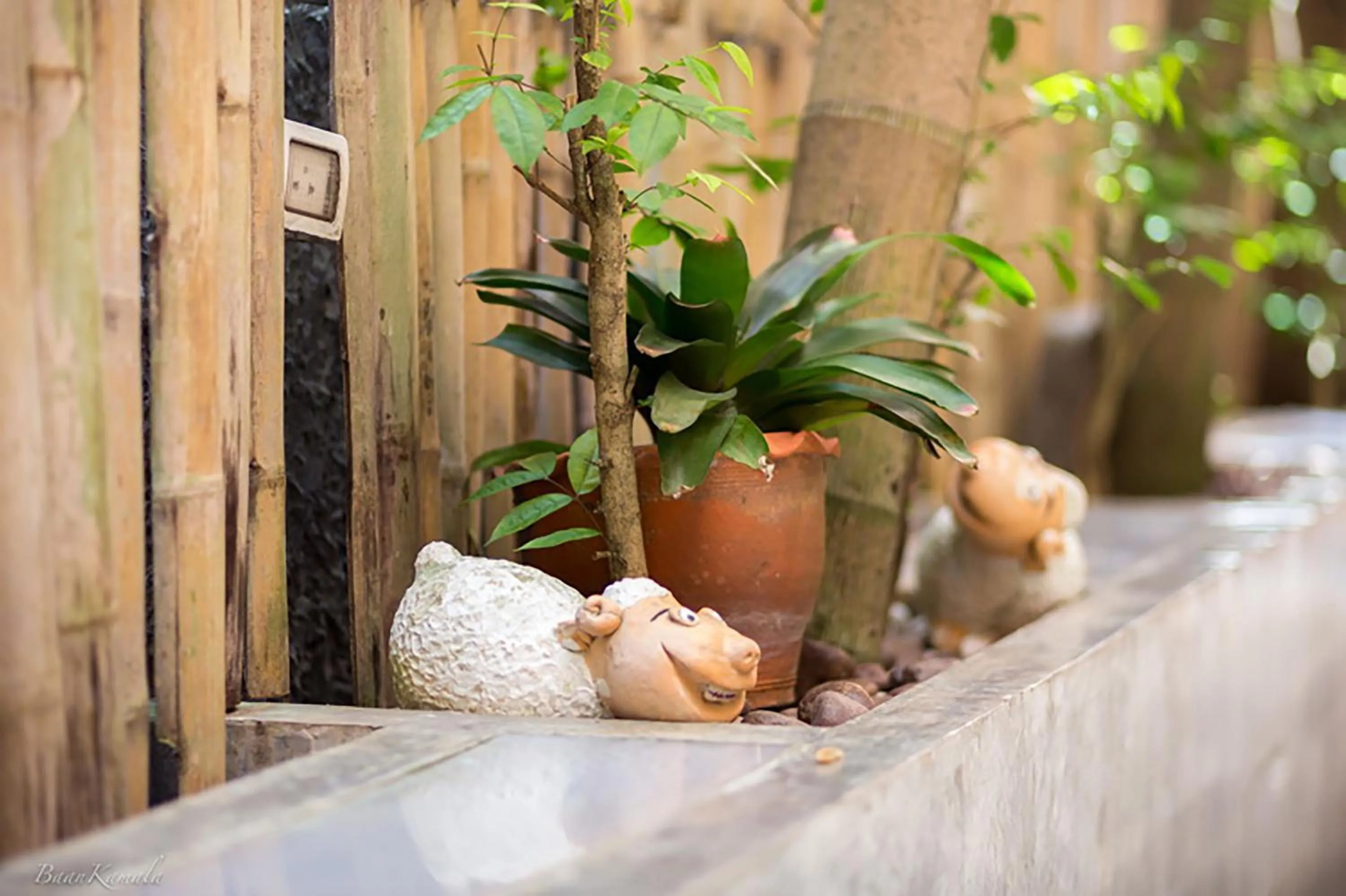 Patio in Baan Kamala Fantasea Hotel