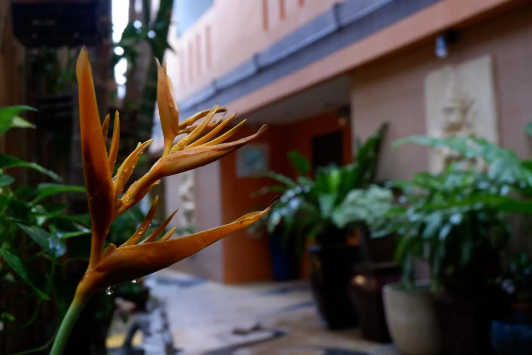 Garden in Baan Kamala Fantasea Hotel