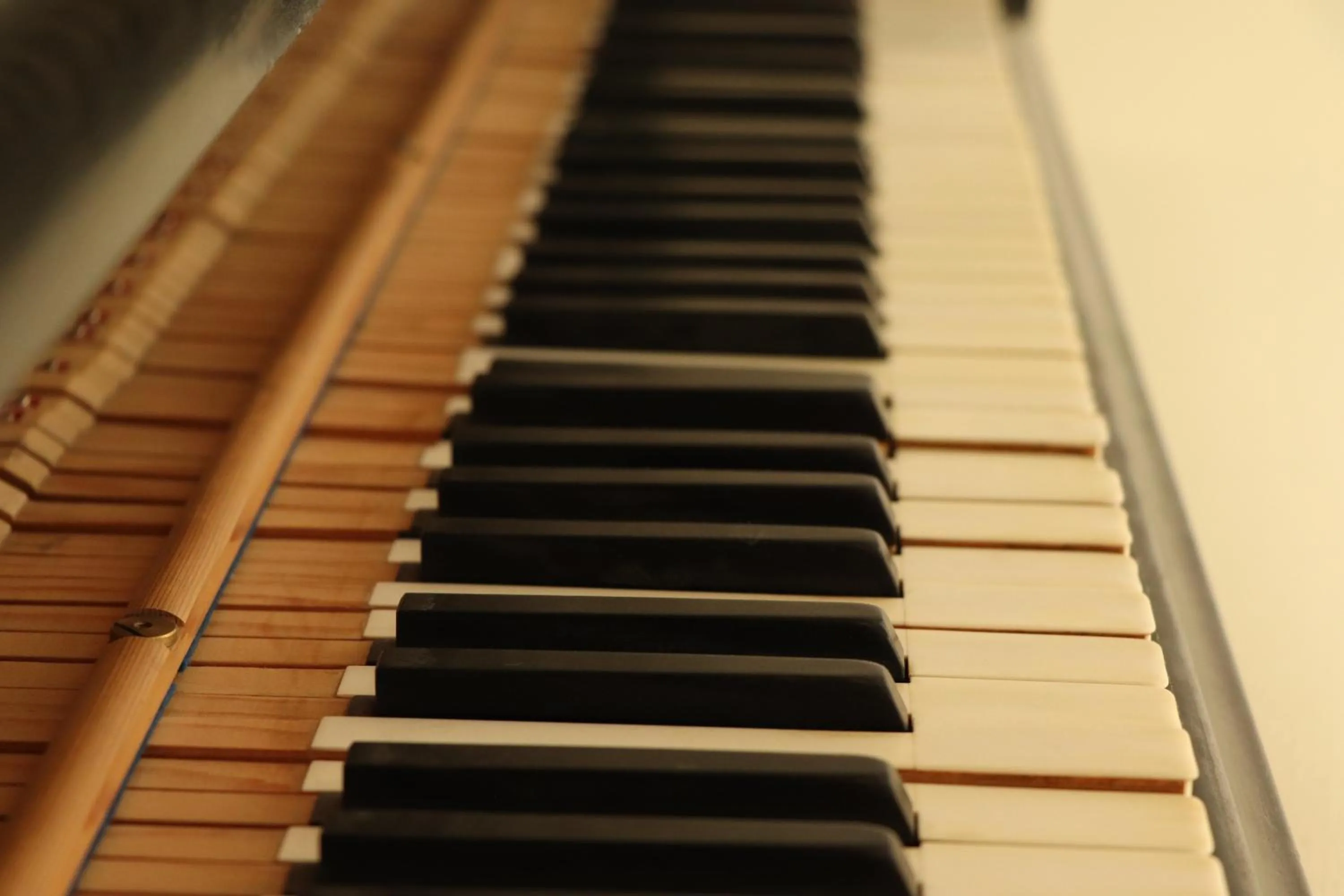 Decorative detail in OPERA Hostel