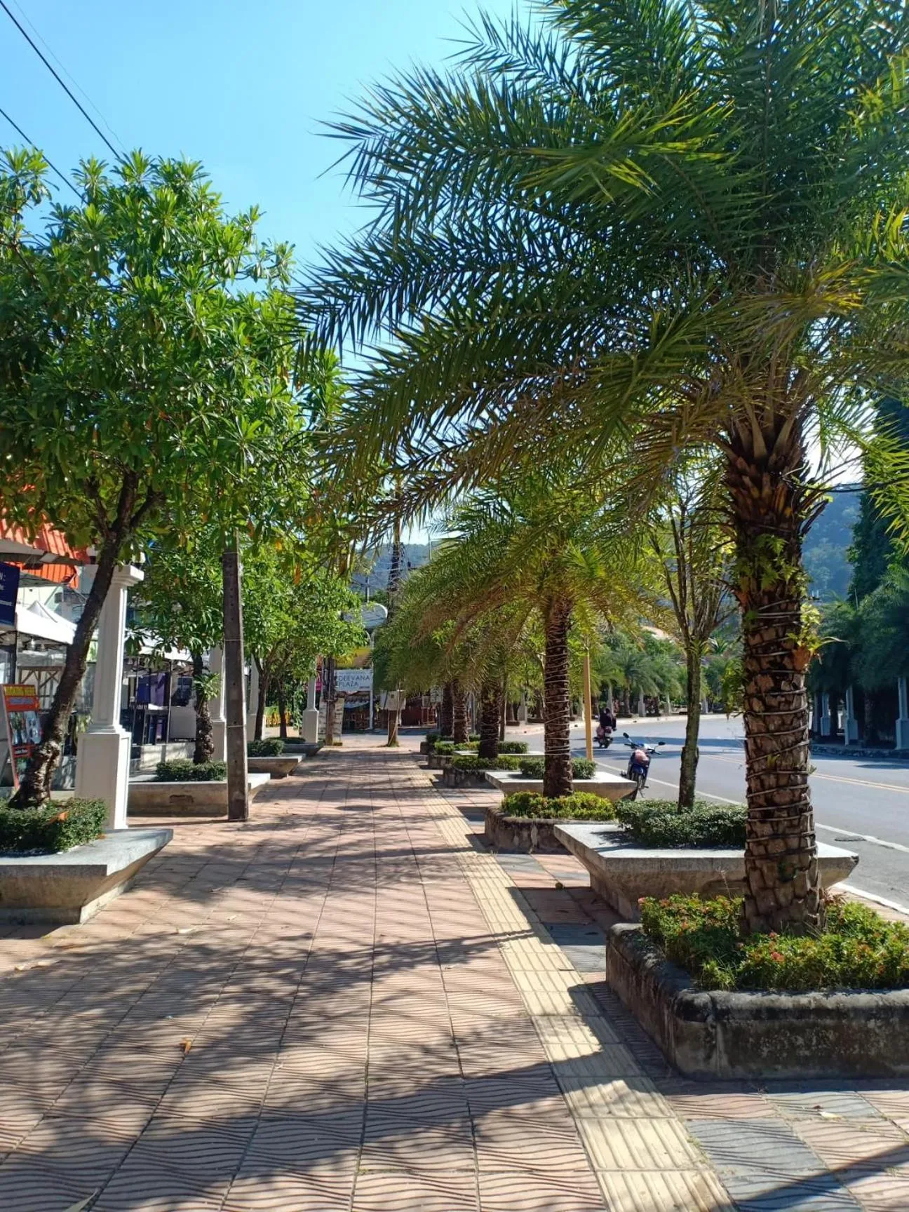 The Krabi Forest Homestay