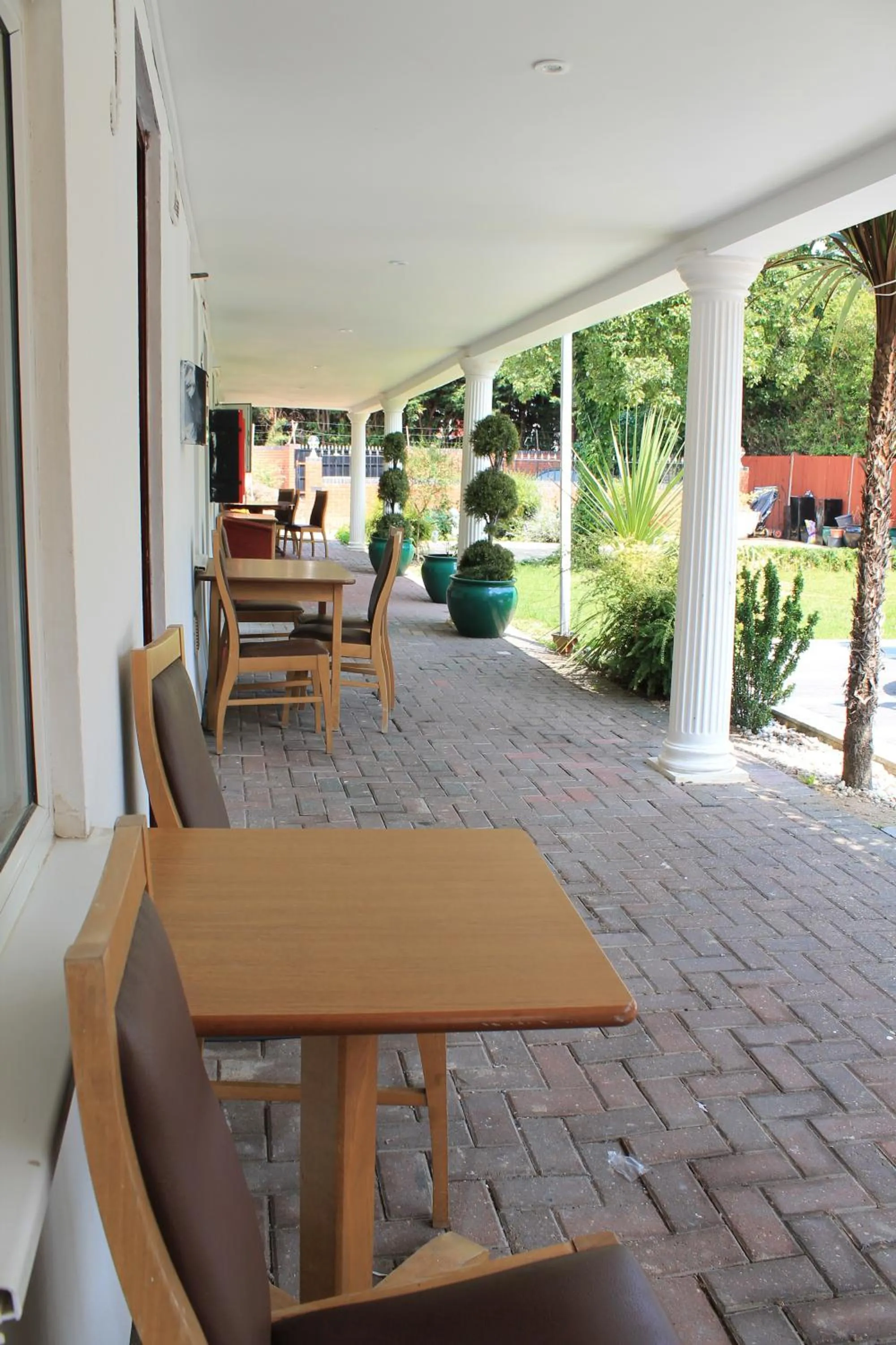 Garden in Skylark Guest House