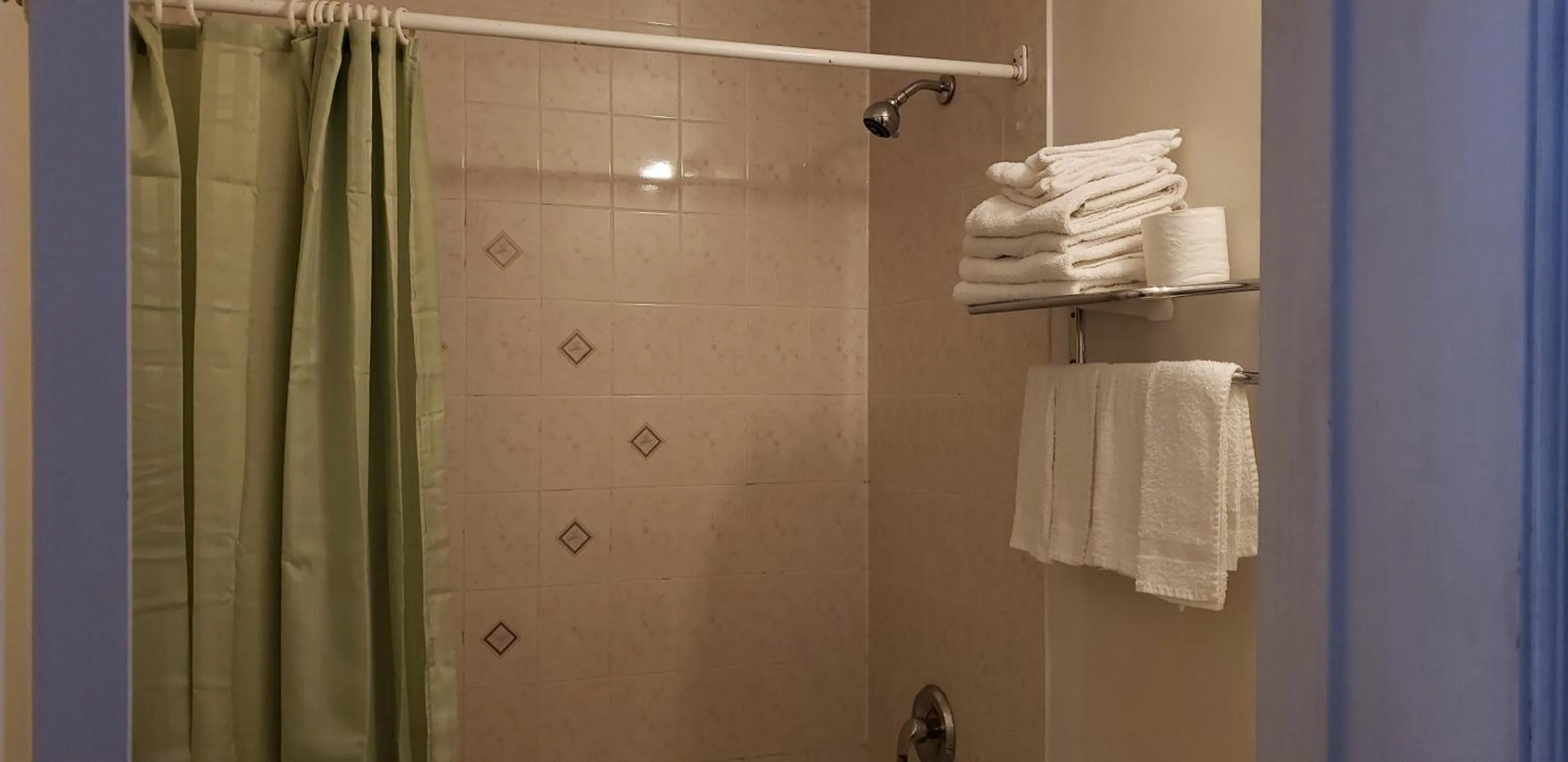 Toilet in Niagara Inn