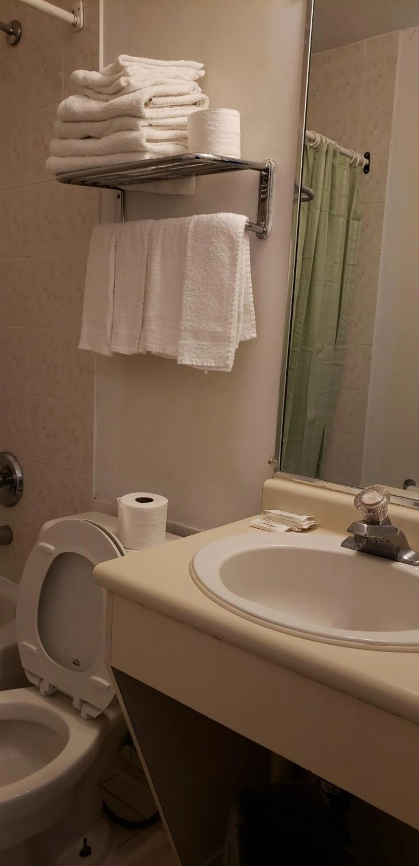 Toilet in Niagara Inn