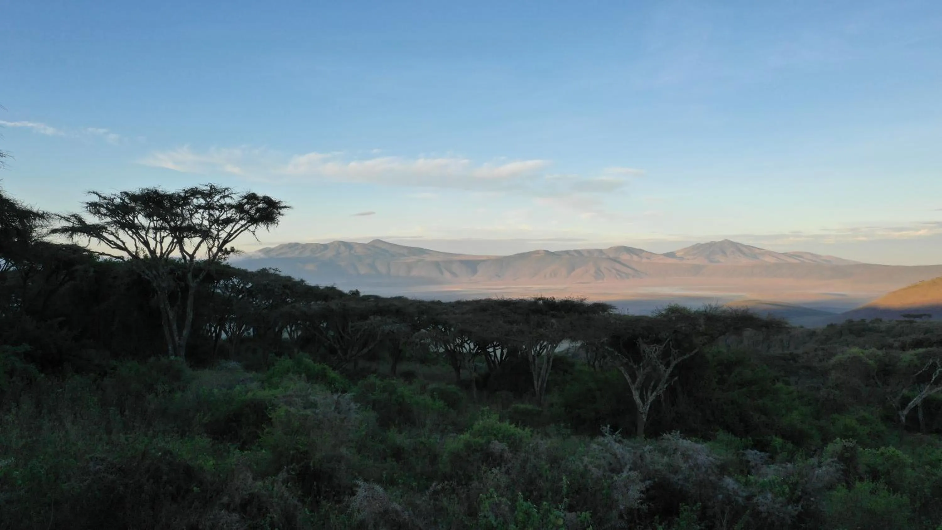 Natural landscape in Ngorongoro Lion's Paw