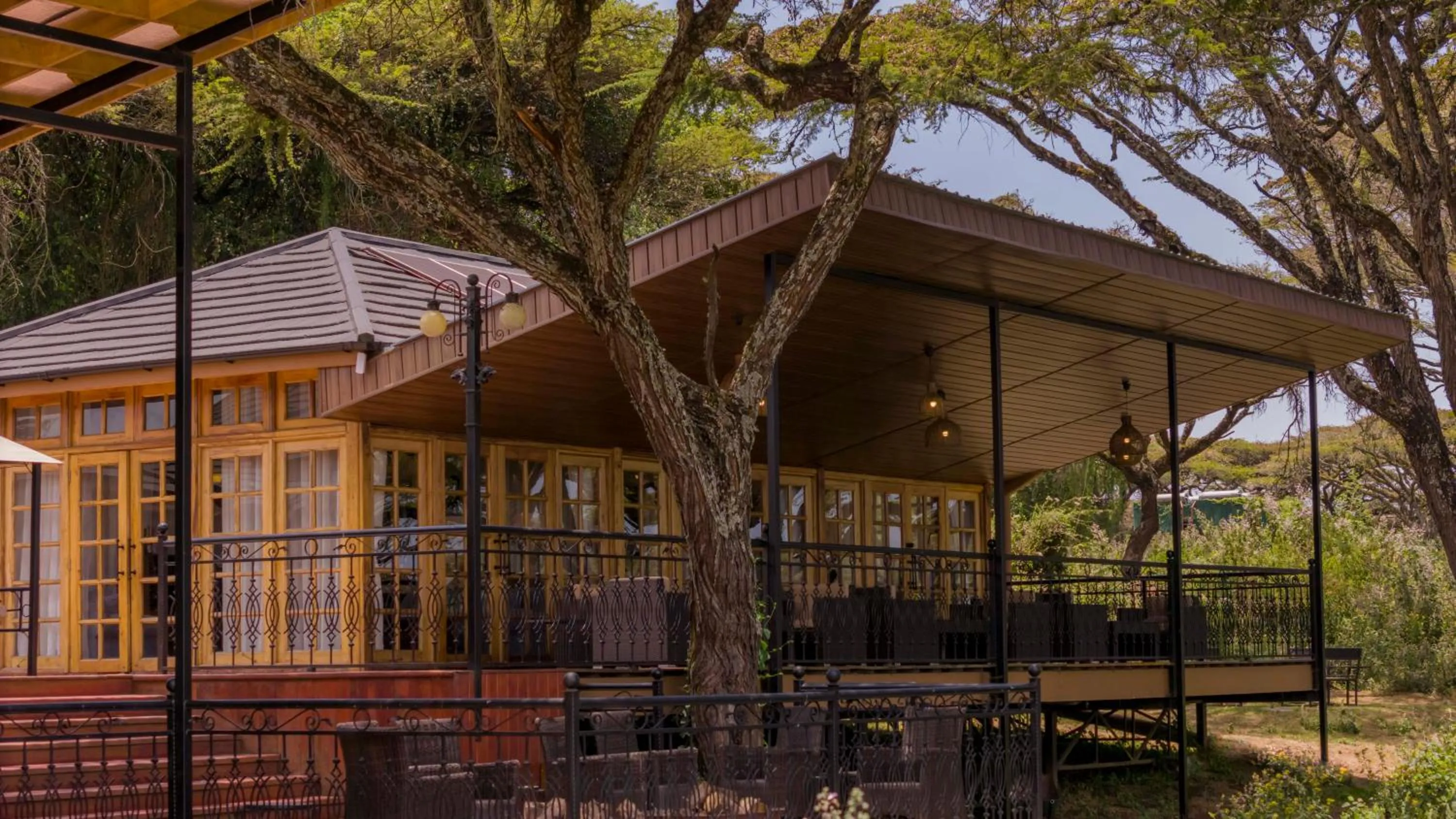 Lounge or bar in Ngorongoro Lion's Paw