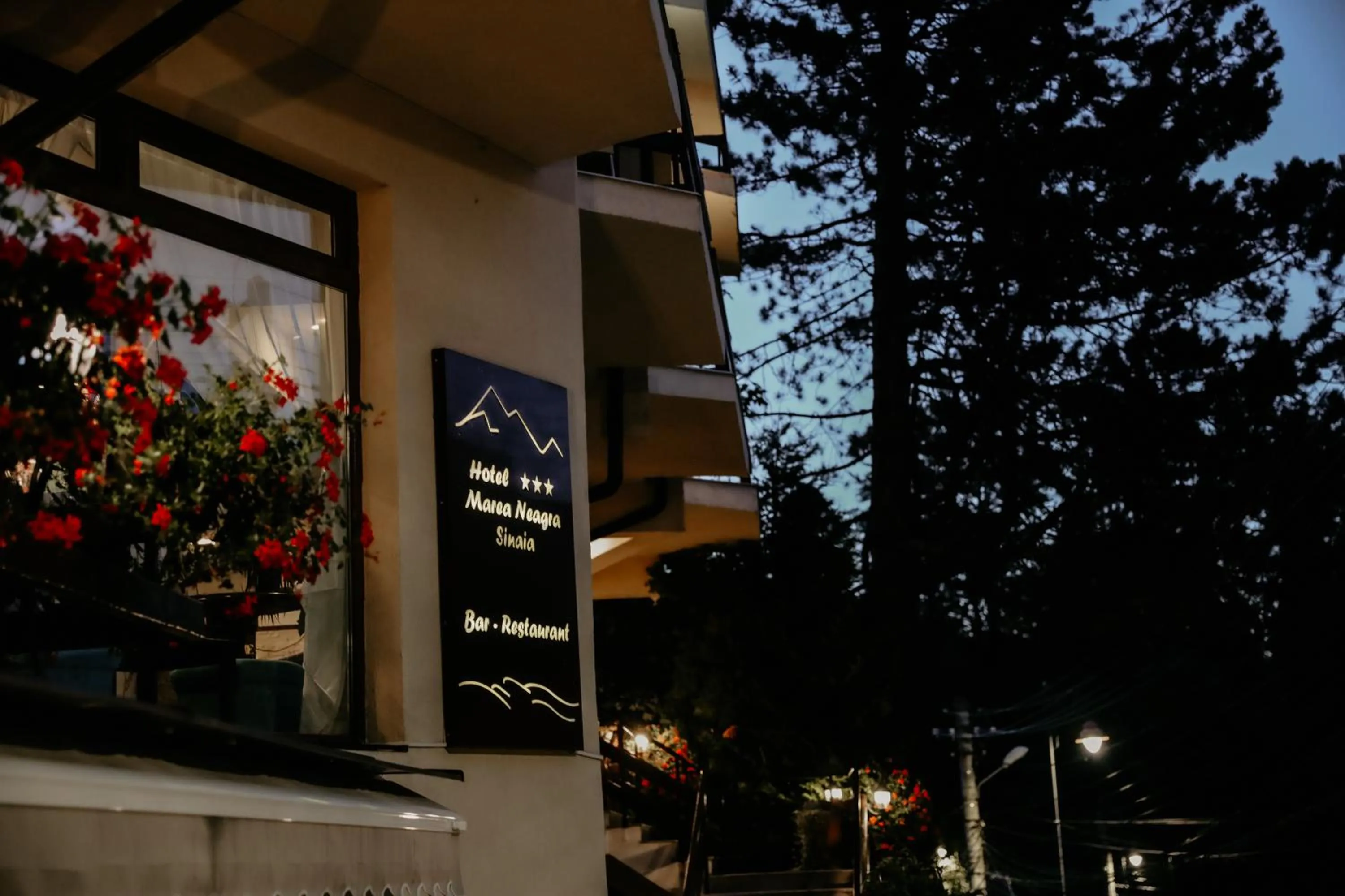 Property building in Hotel Marea Neagra