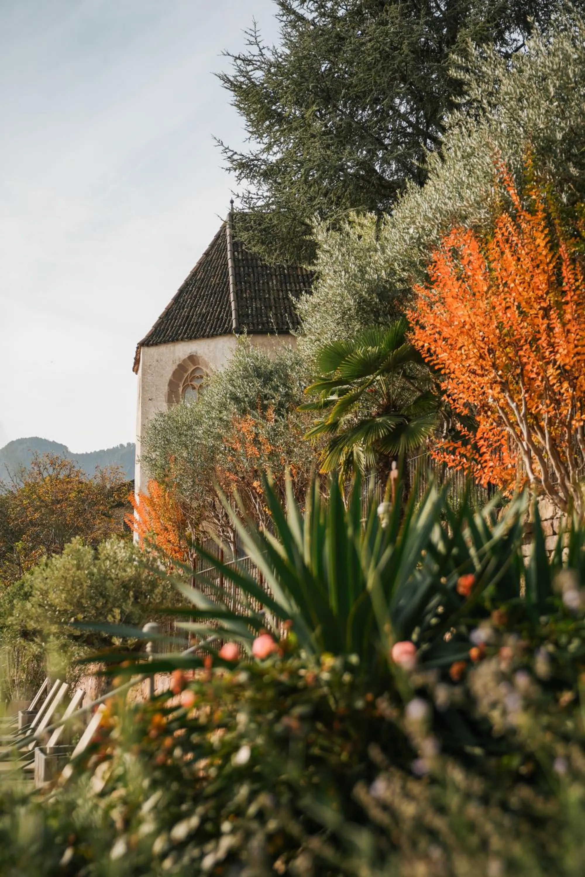Garden view in Schloss Freudenstein