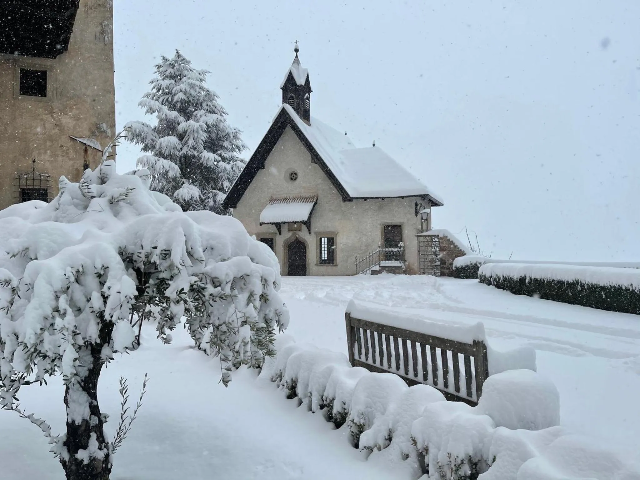 Day in Schloss Freudenstein