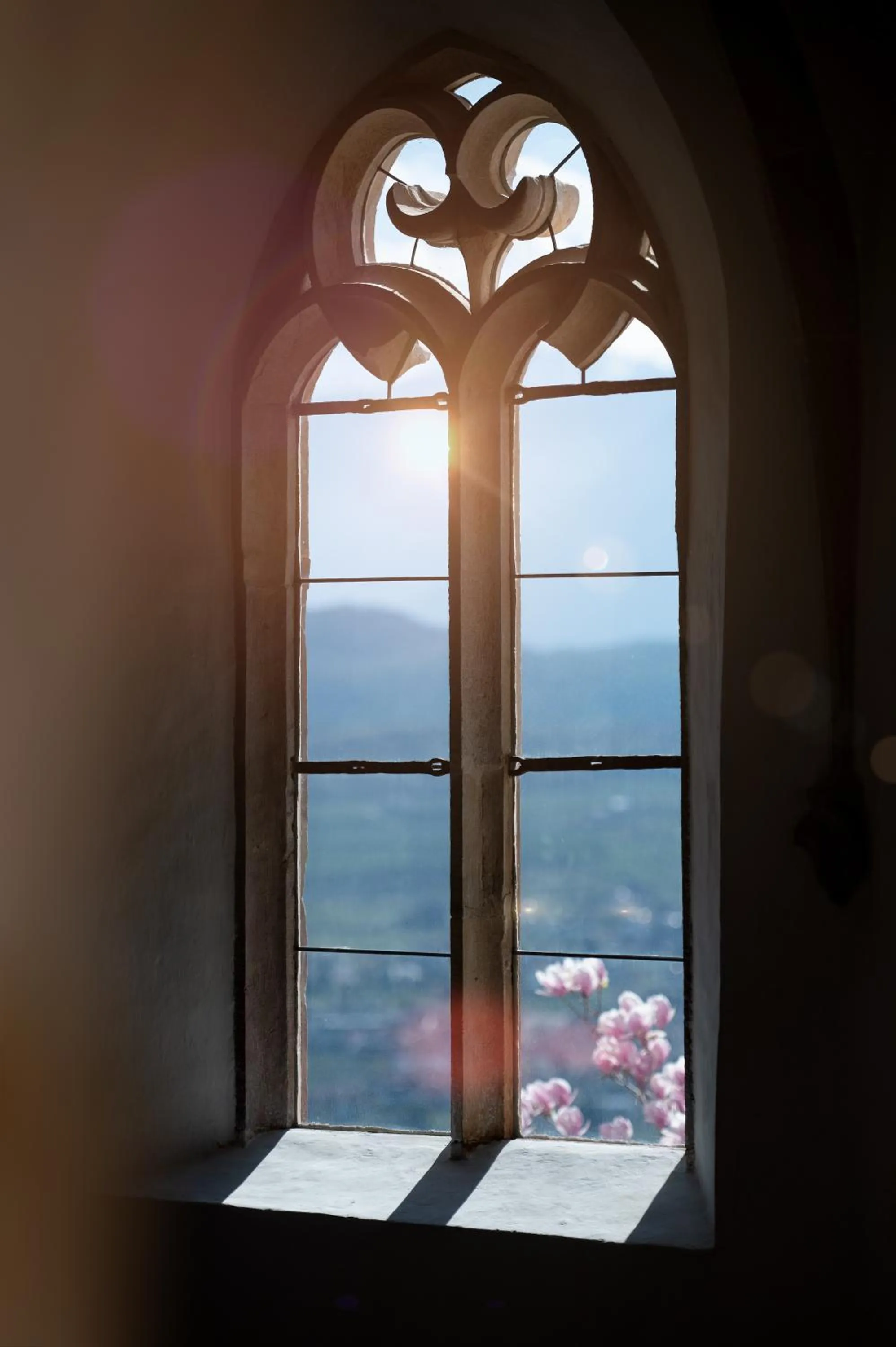 Natural landscape in Schloss Freudenstein