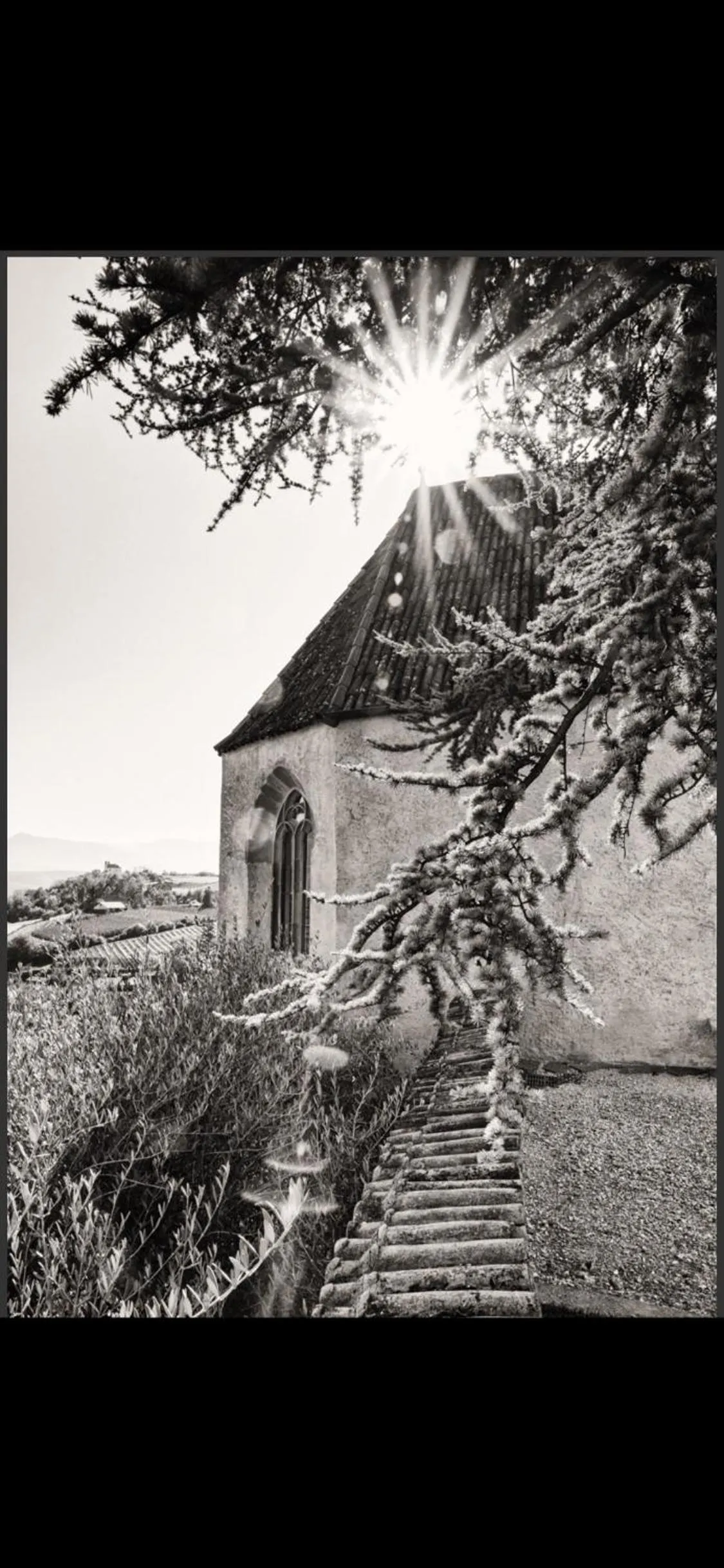 Landmark view in Schloss Freudenstein