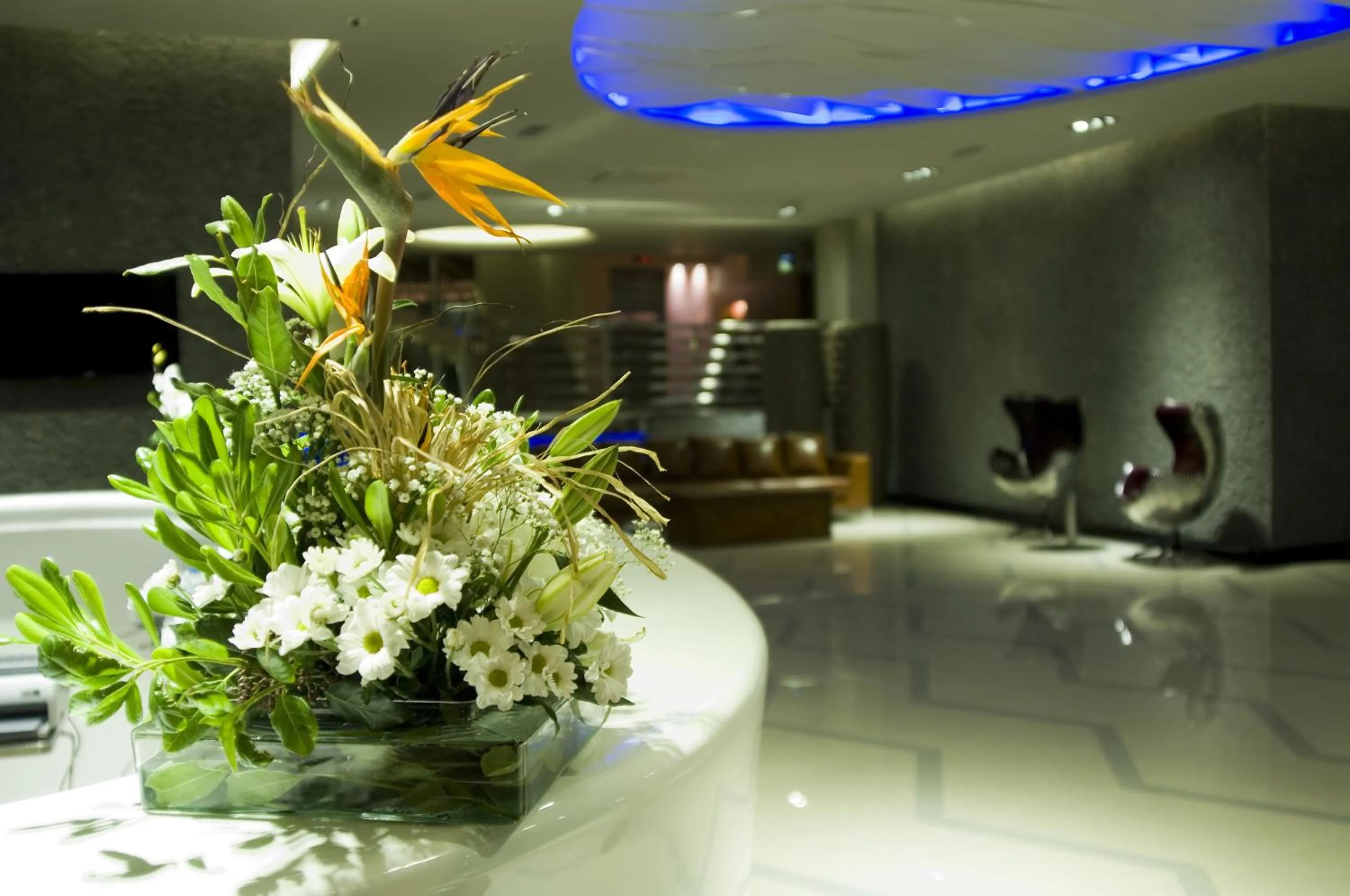 Other in Casa De Maris Spa & Resort Hotel Adult Only 16 Plus