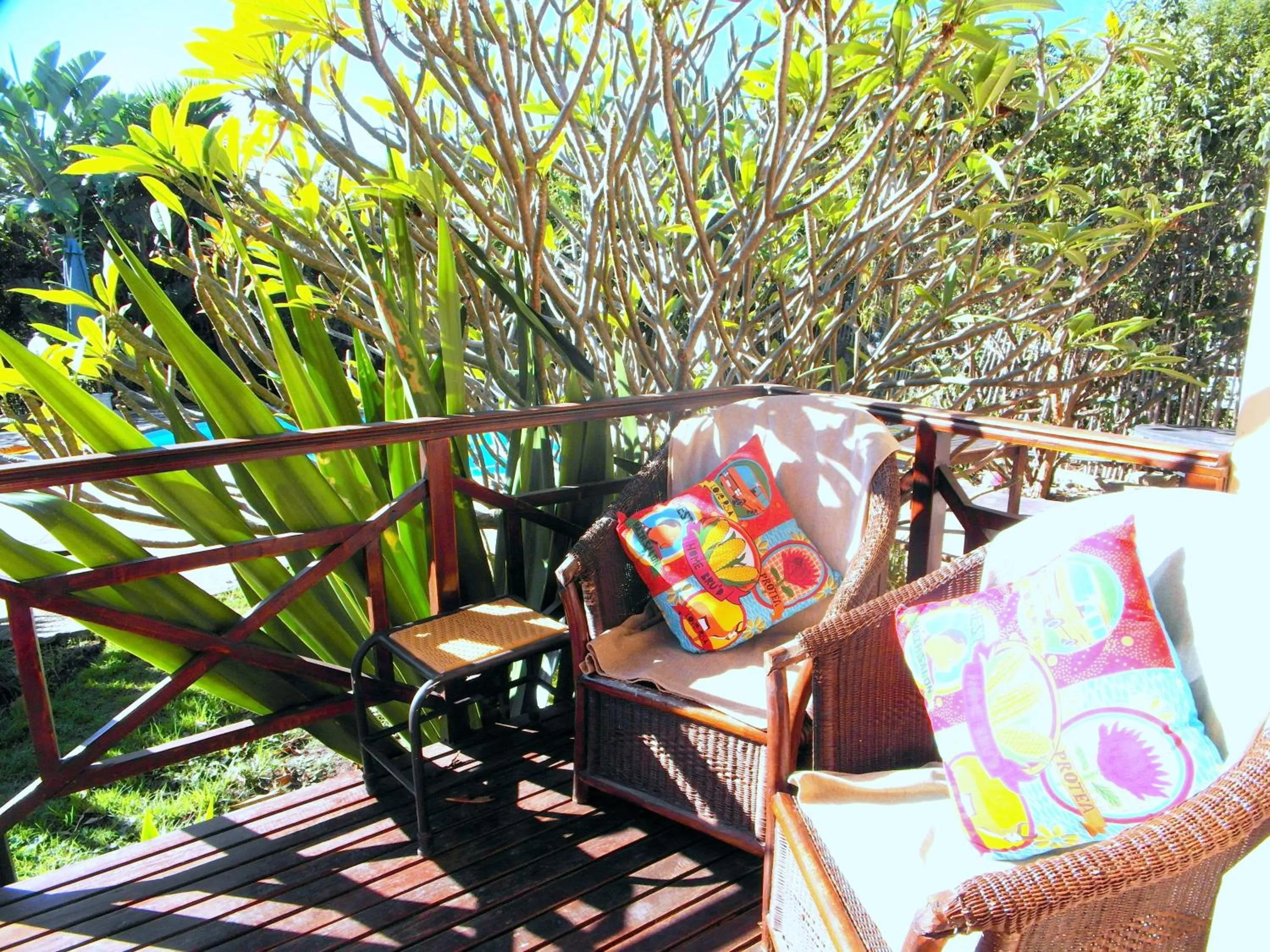 Garden in A Whale of a View Bed & Breakfast