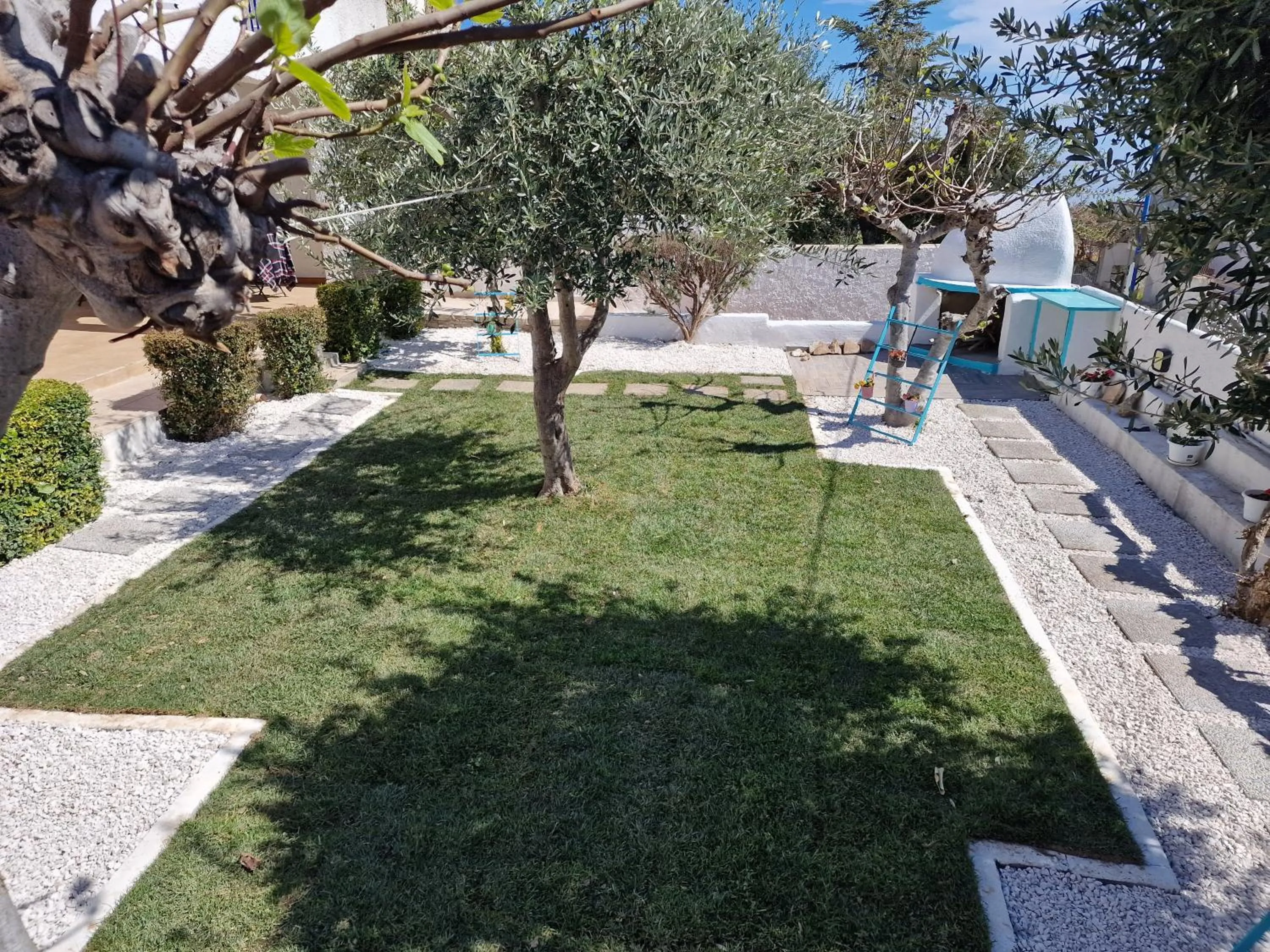Garden in B&B Cala Luna