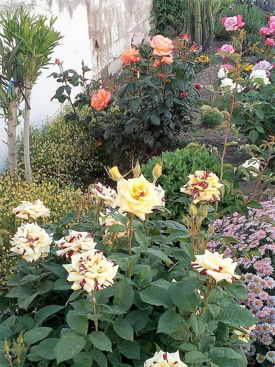 Garden in Casa de Mar y Kanela 17 km Granada