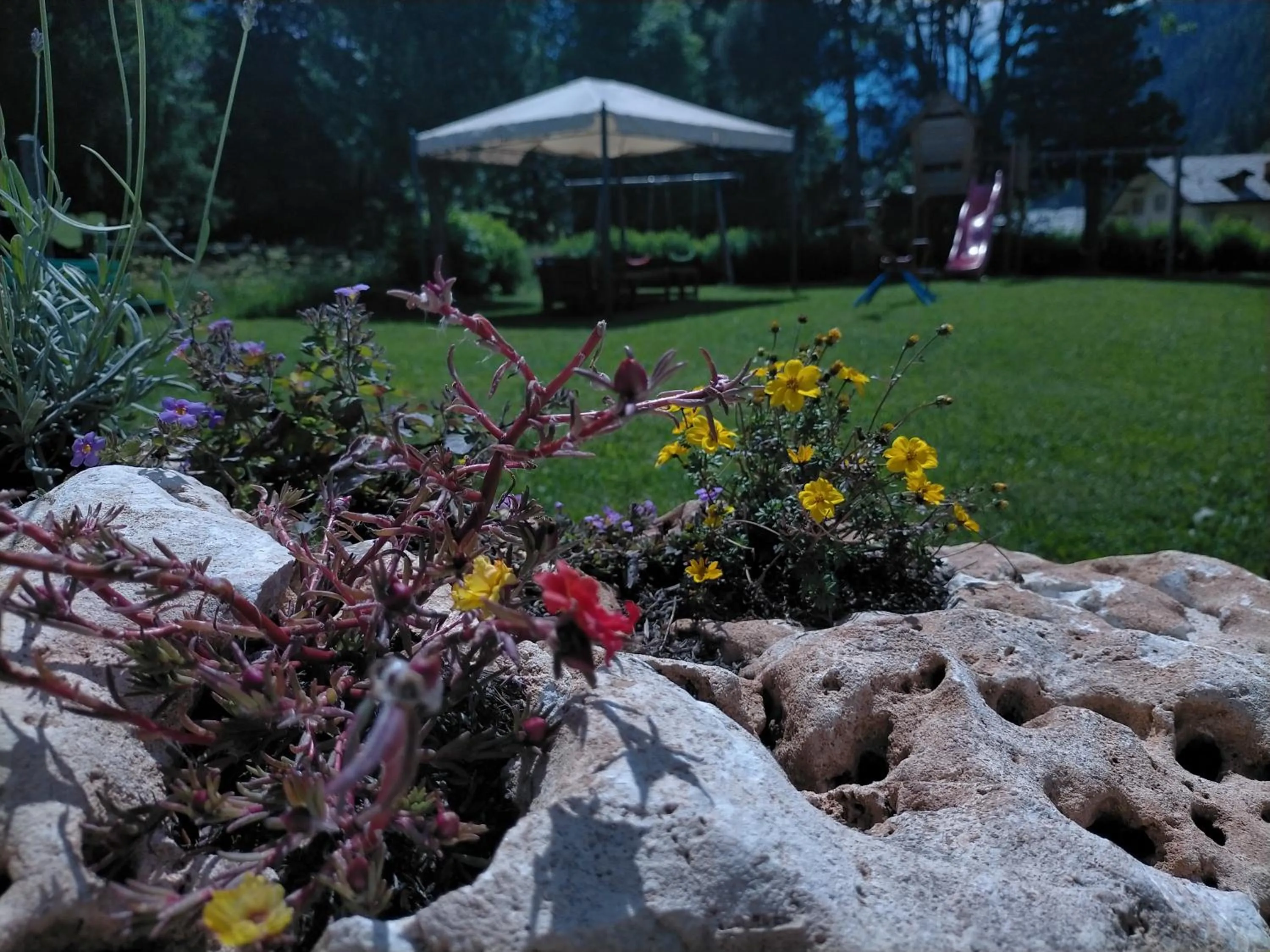 Garden in Hotel Flora Alpina