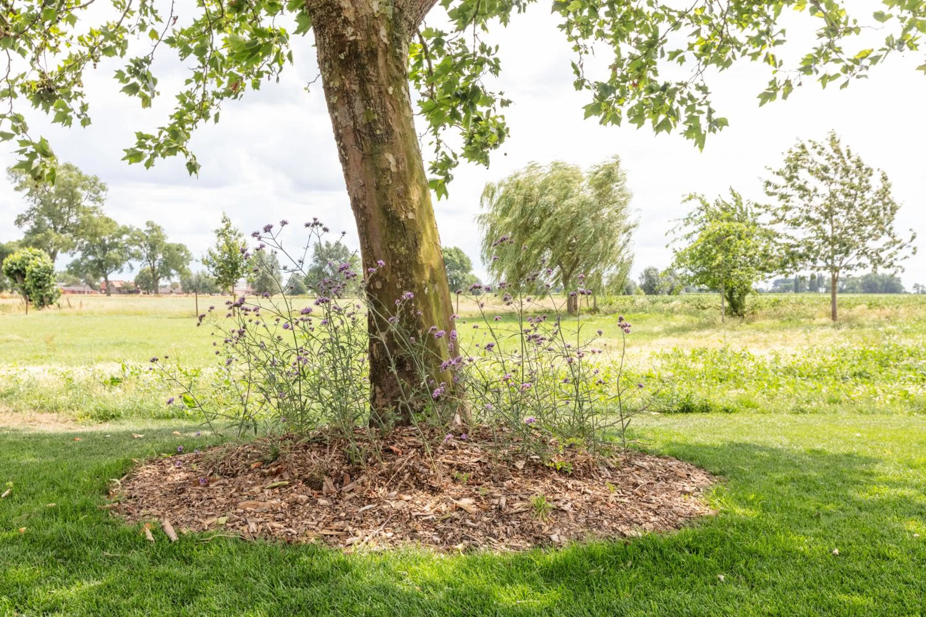Natural landscape in B&B Het Eycken Huys