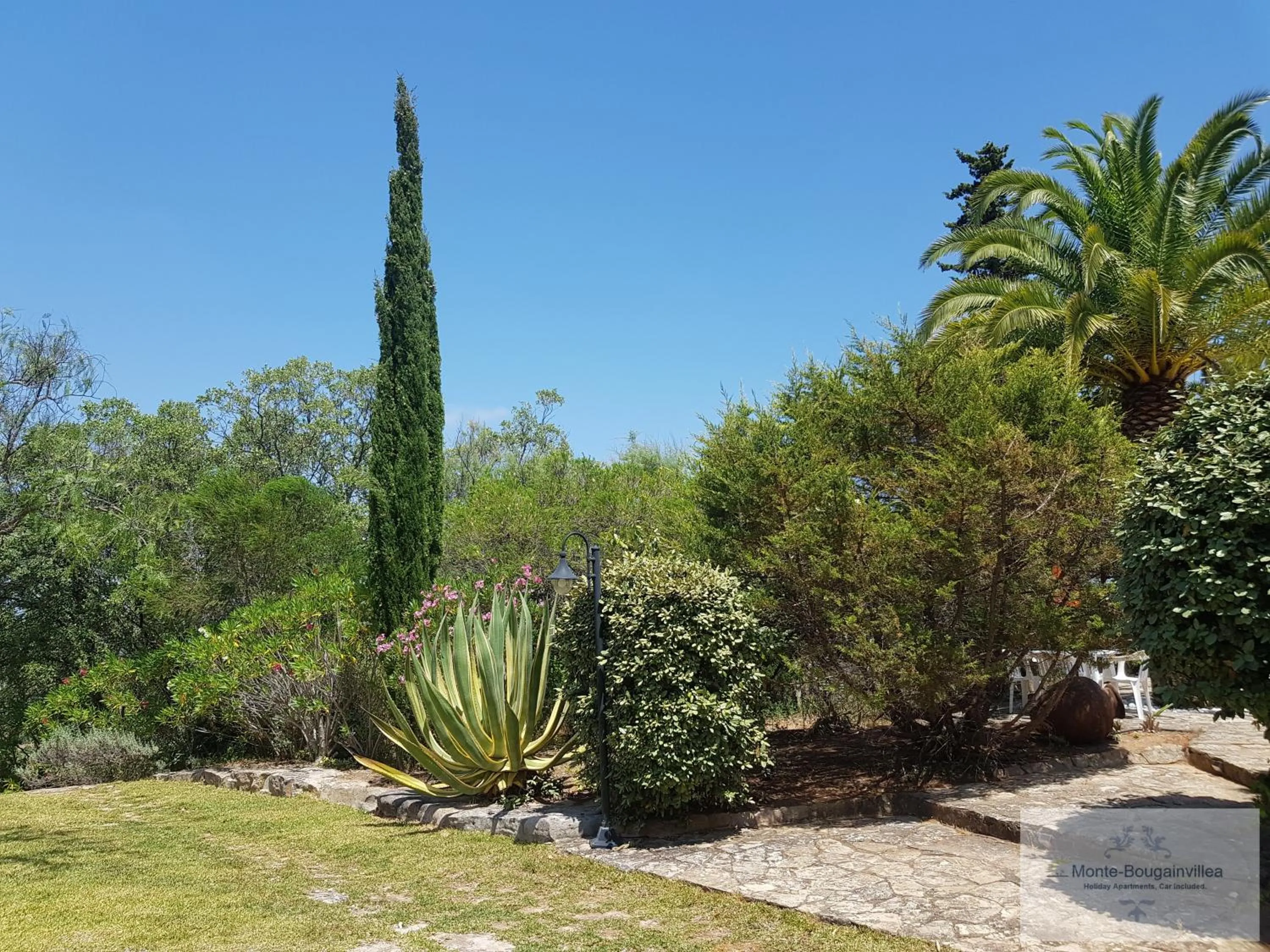Garden view in Monte-Bougainvillea