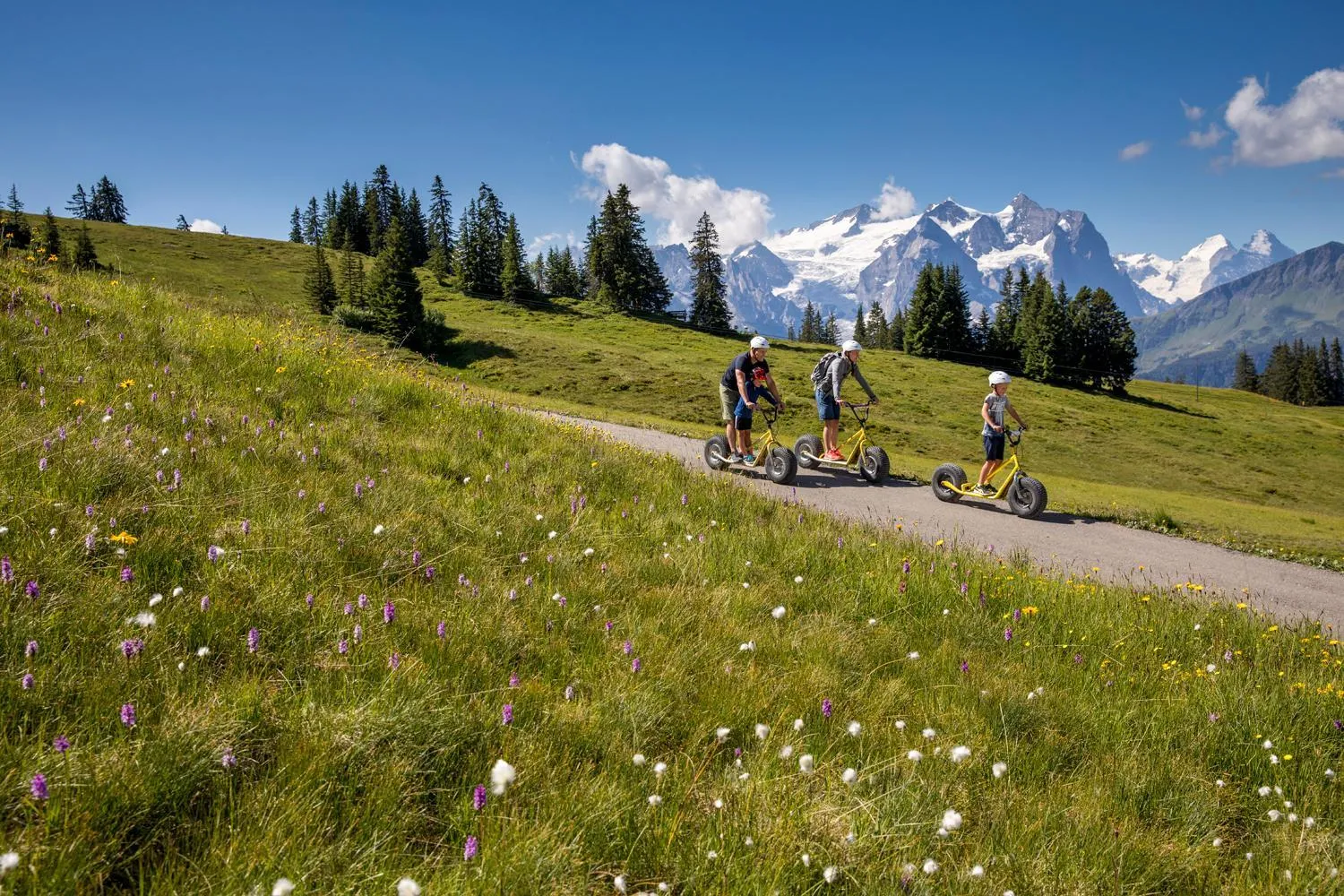 Natural landscape in Hotel Reuti