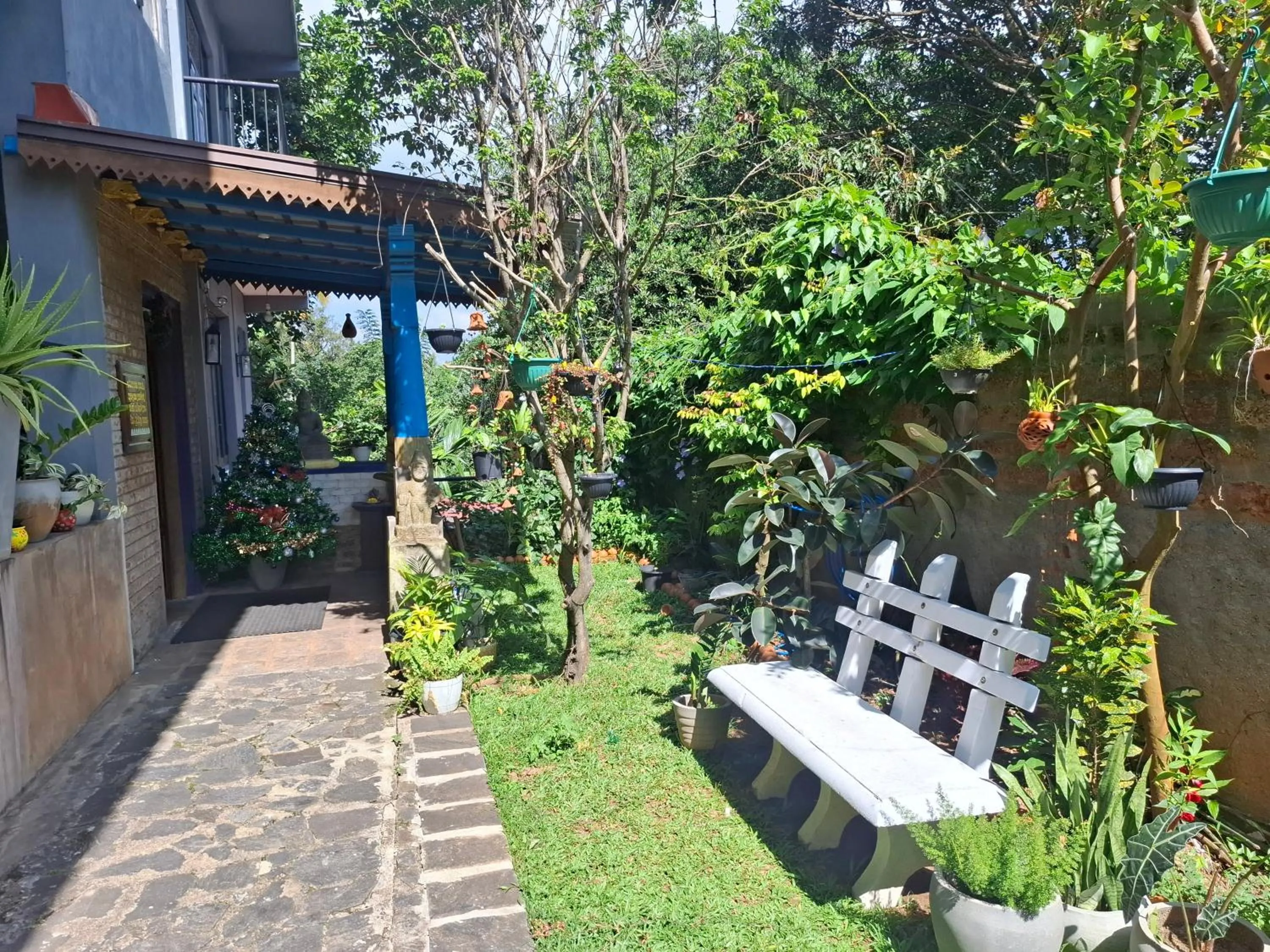 Garden view in Blue Pillars Kandy
