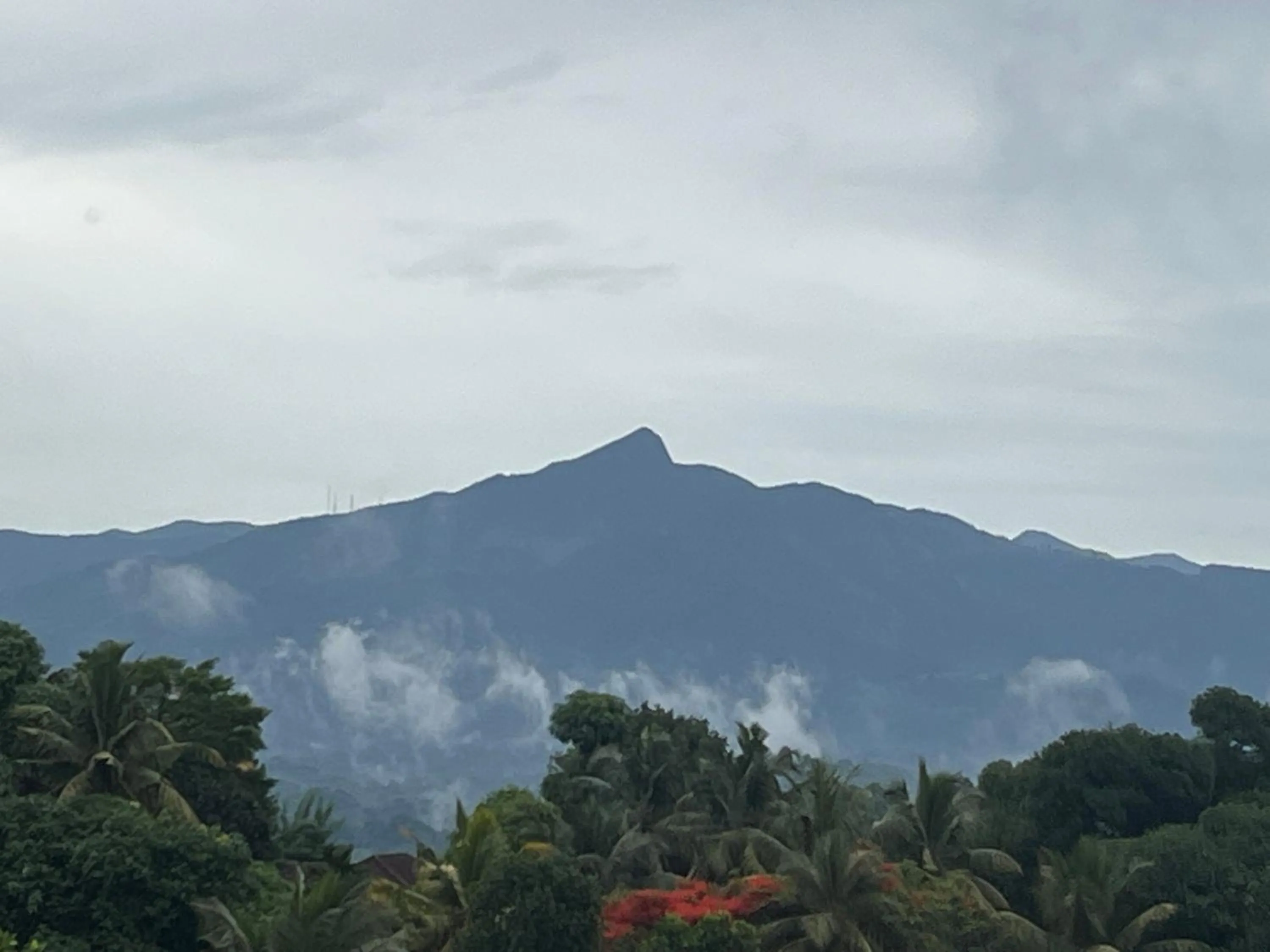 Mountain view in Blue Pillars Kandy