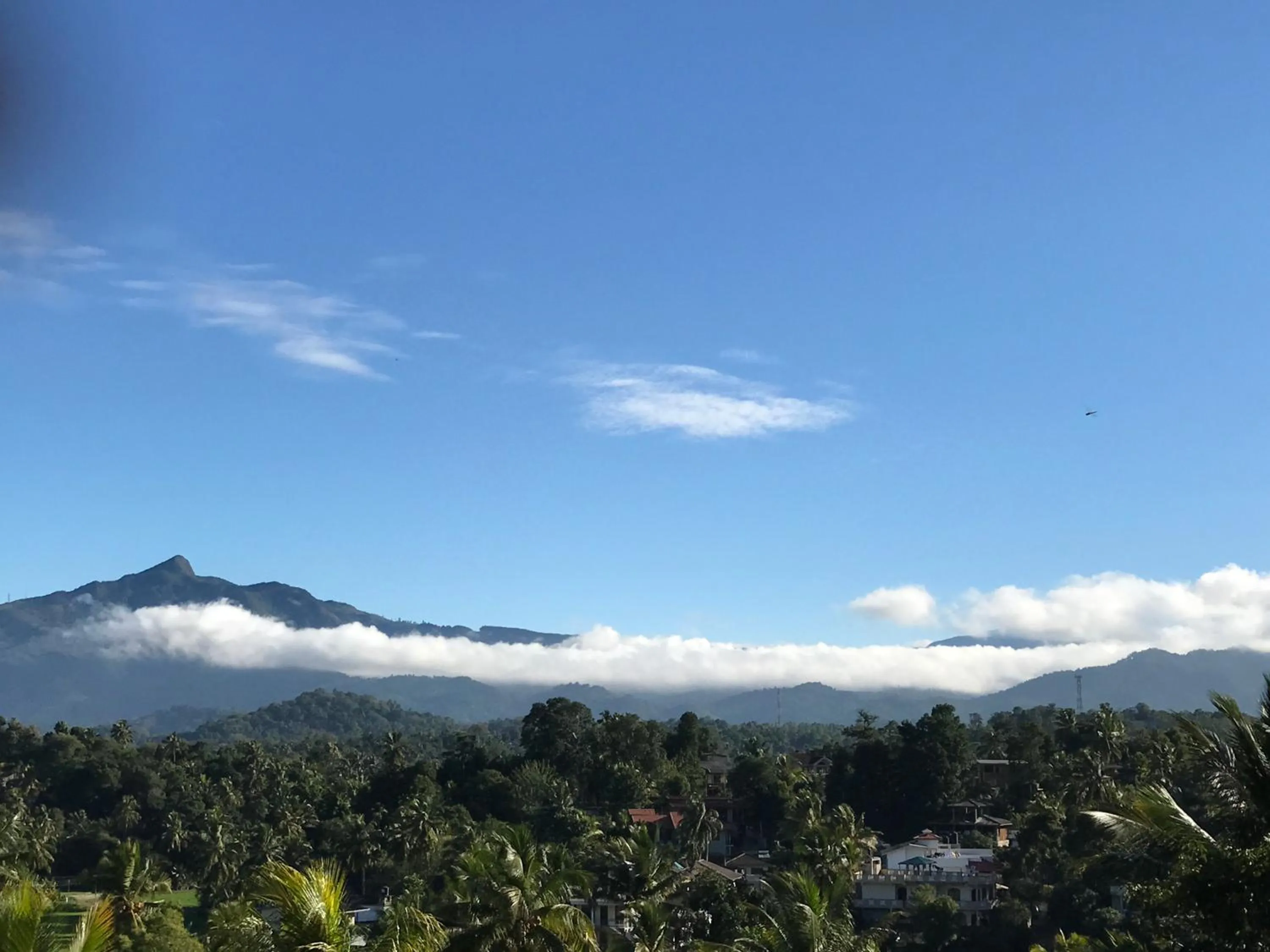 Mountain view in Blue Pillars Kandy
