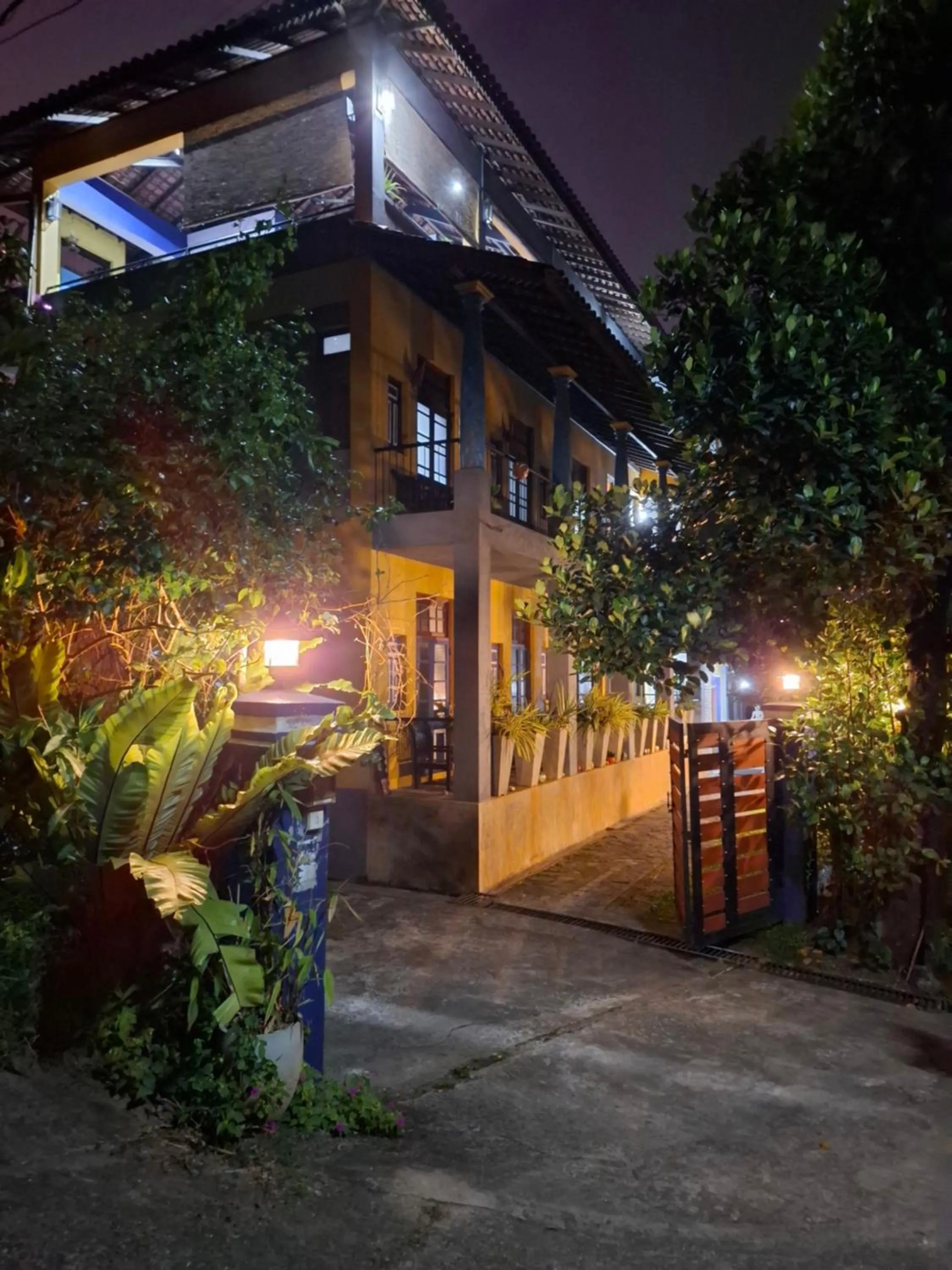 Night in Blue Pillars Kandy