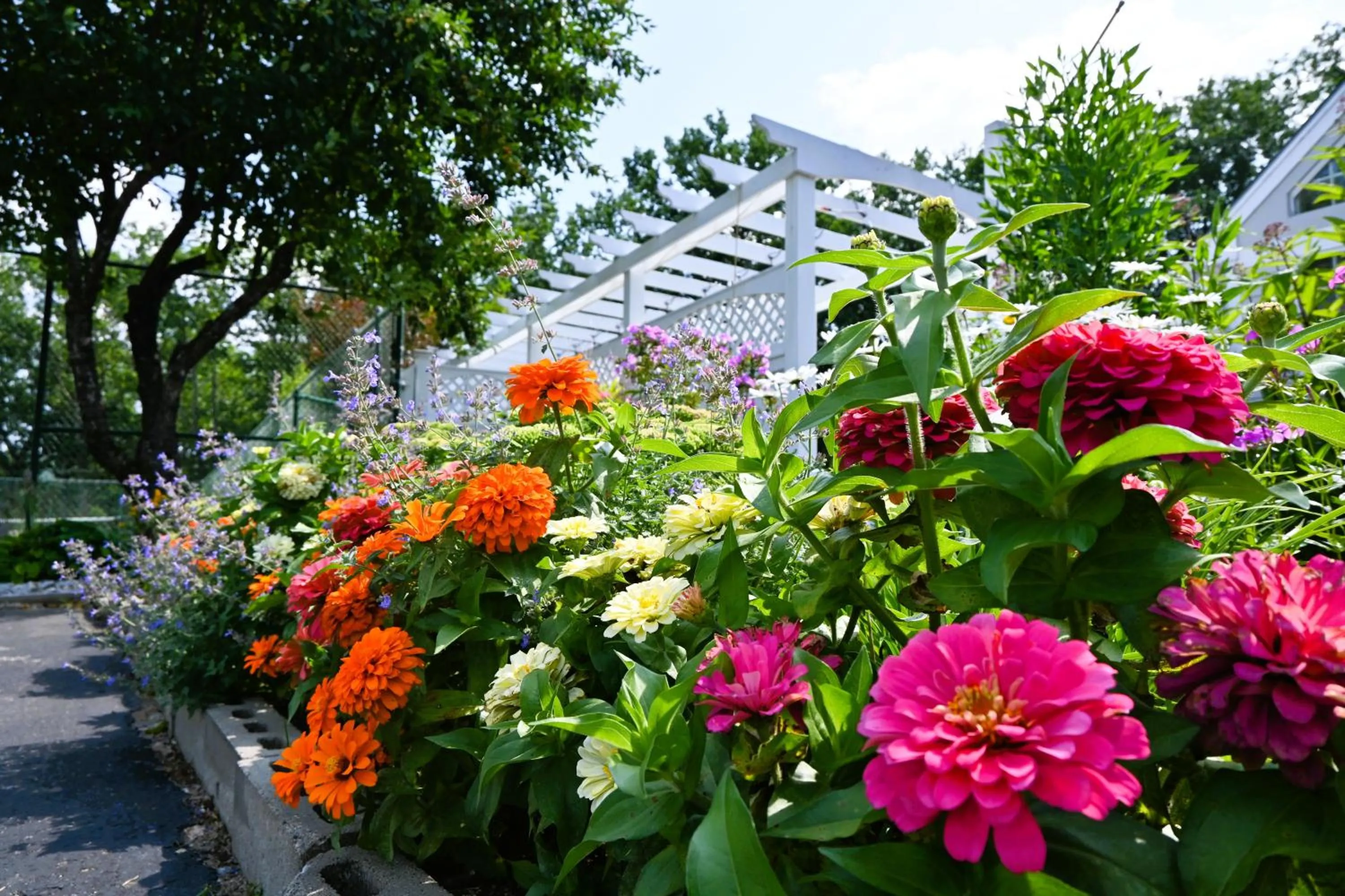 Facade/entrance in The Lodge at Jackson Village