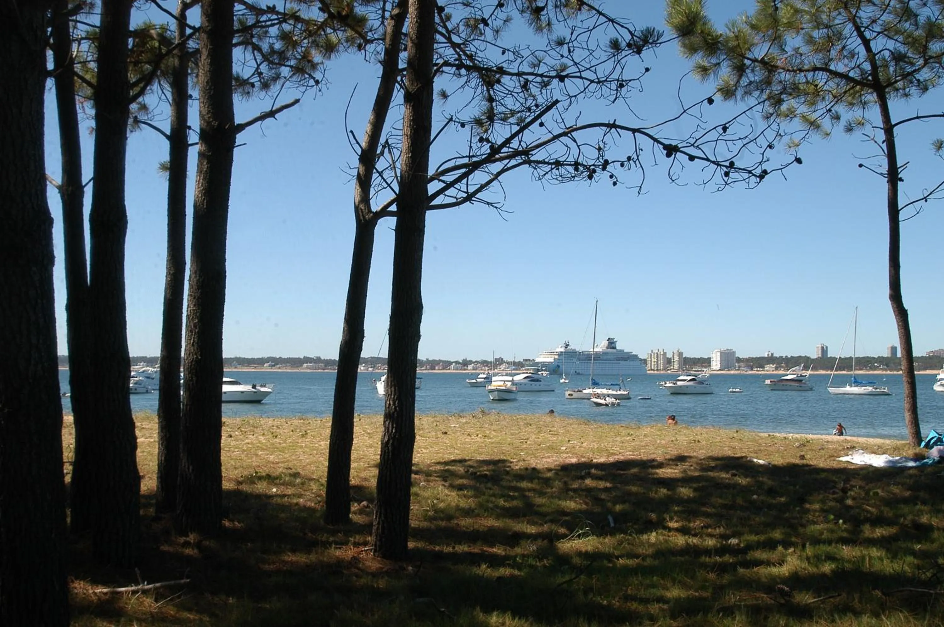 Nearby landmark in Jamaica Punta del Este Hotel & Residence