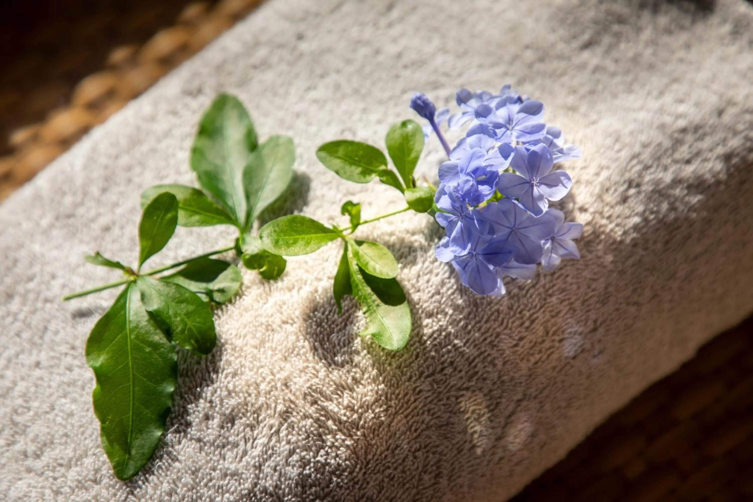 Monastero Santa Rosa Hotel & Spa