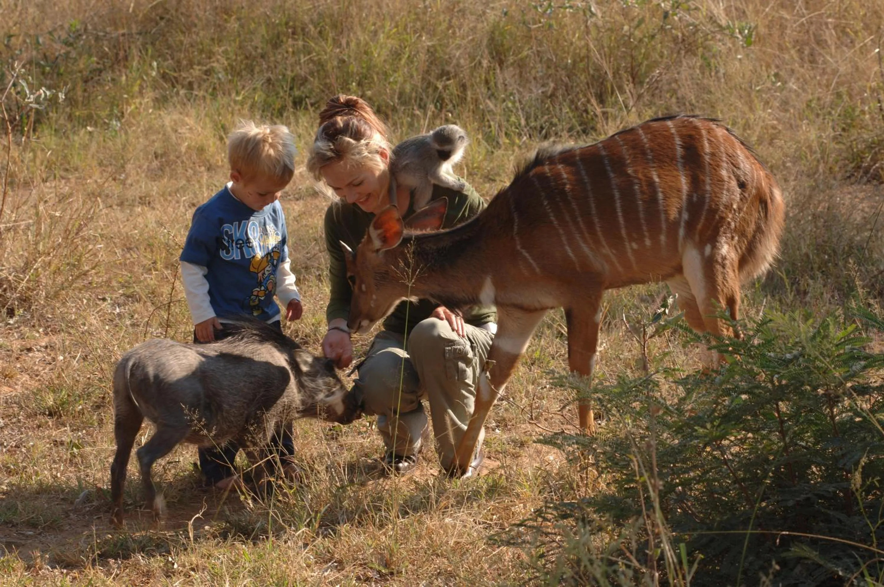 Sondela Nature Reserve & Spa Chalets