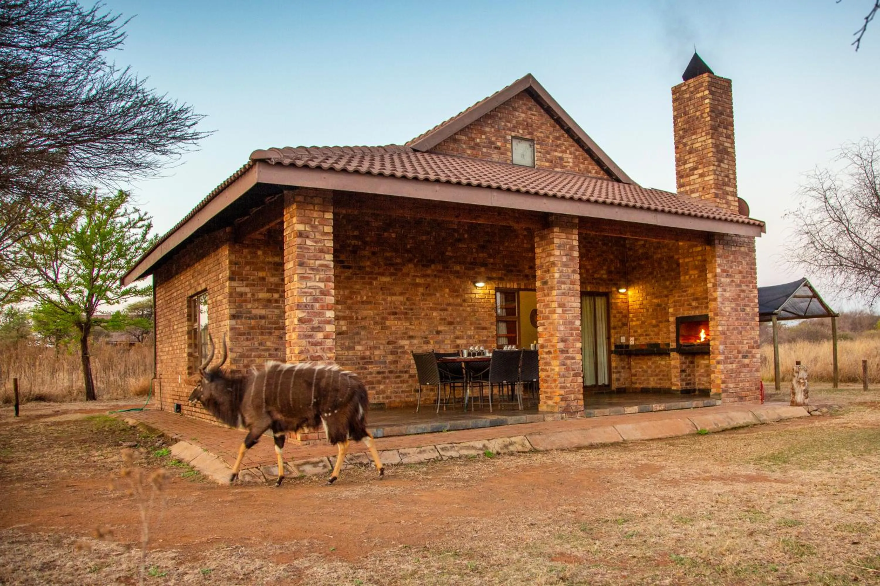 Sondela Nature Reserve & Spa Chalets