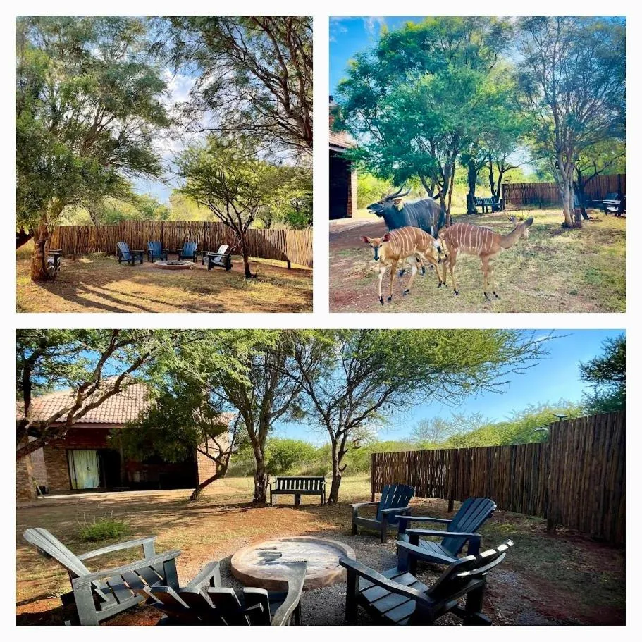 Sondela Nature Reserve & Spa Chalets