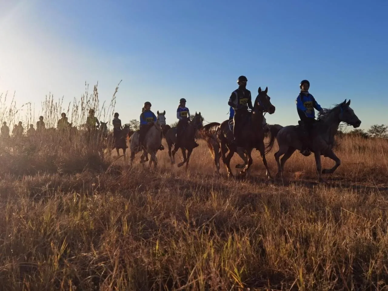Sondela Nature Reserve & Spa Chalets