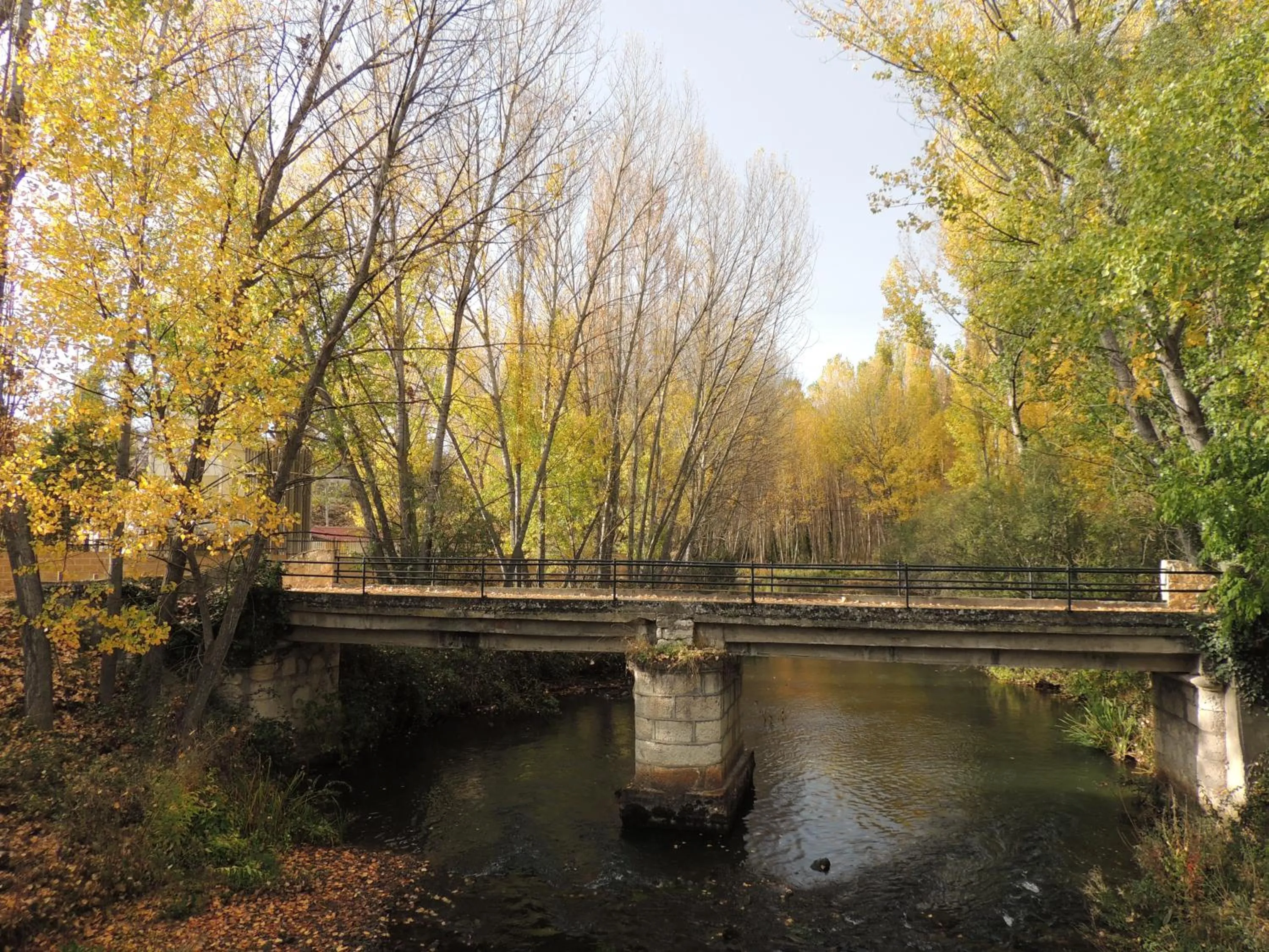 Other in El Rincón de las Hoces del Duratón