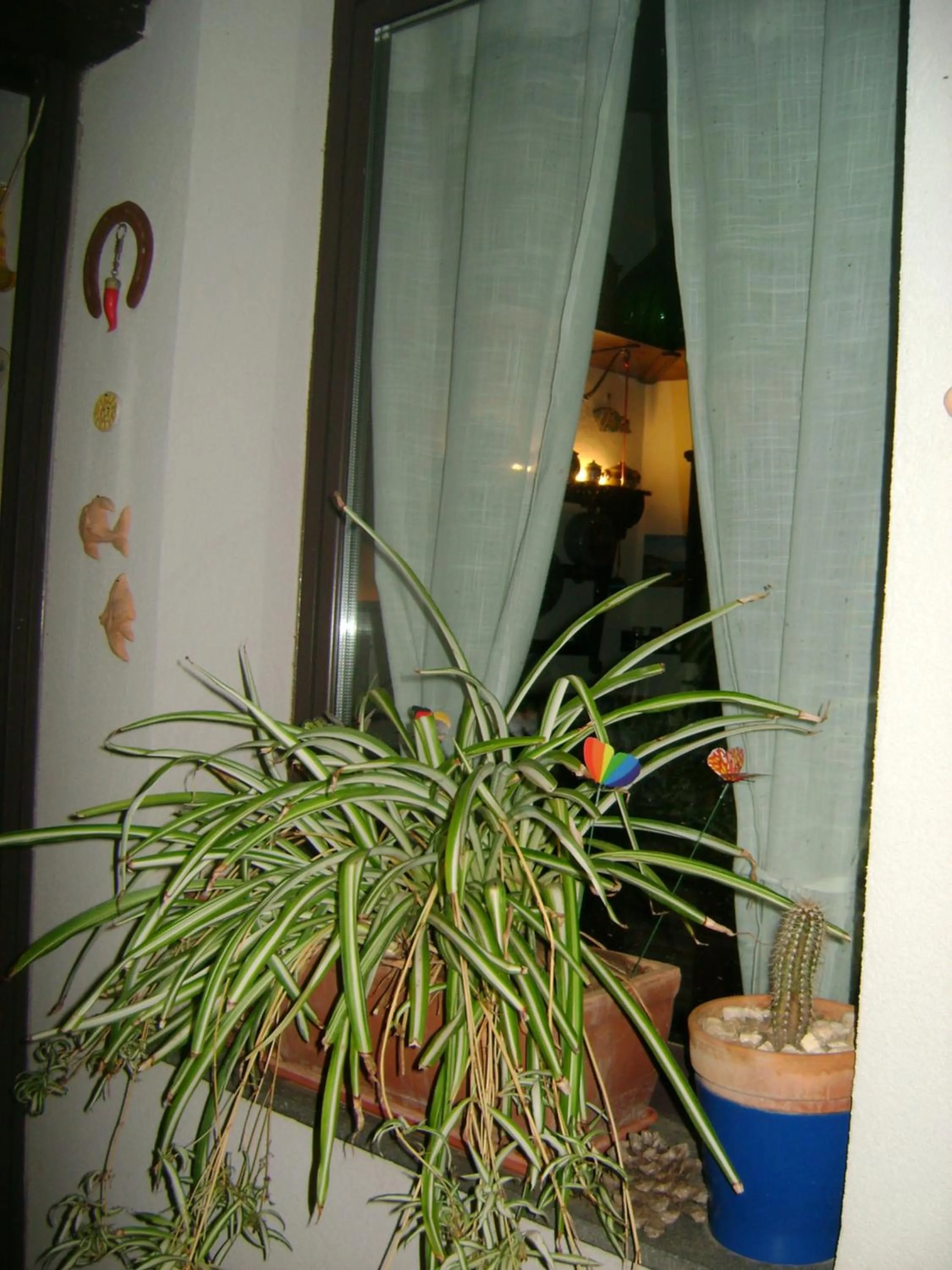 Decorative detail in Mauripe