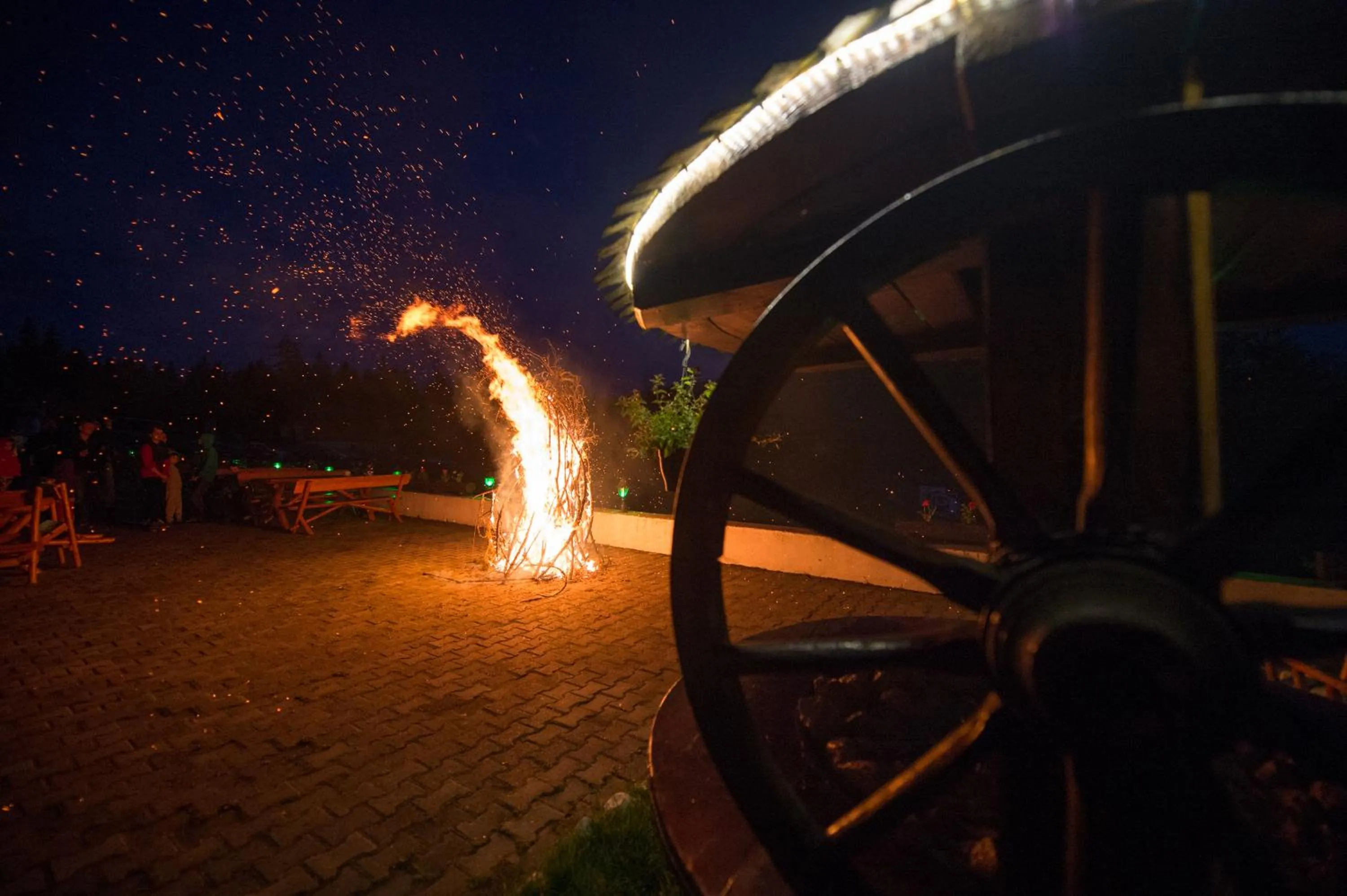 Restaurant/places to eat in Cabana Trei Brazi