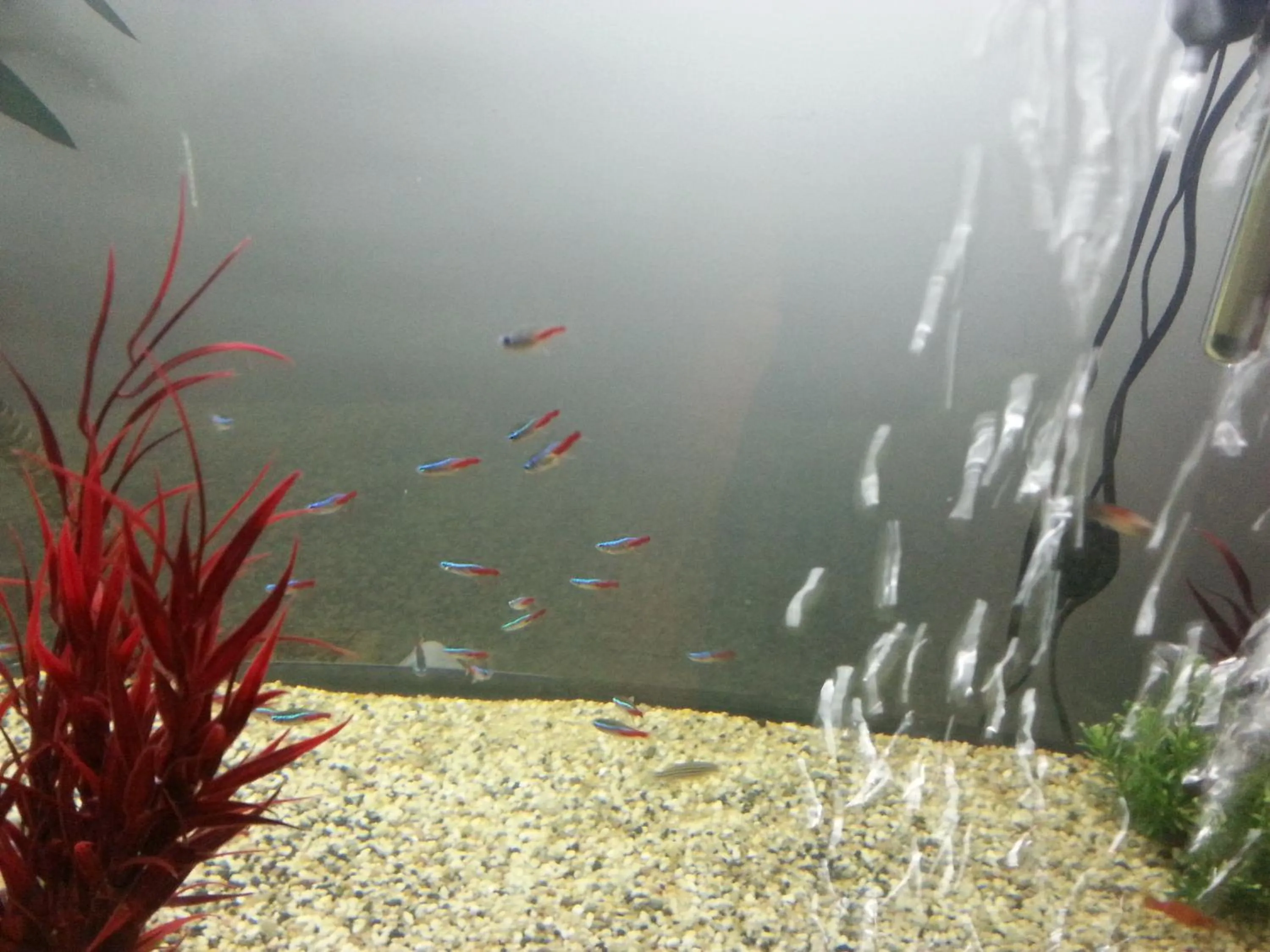 Lobby or reception in Cabana Trei Brazi