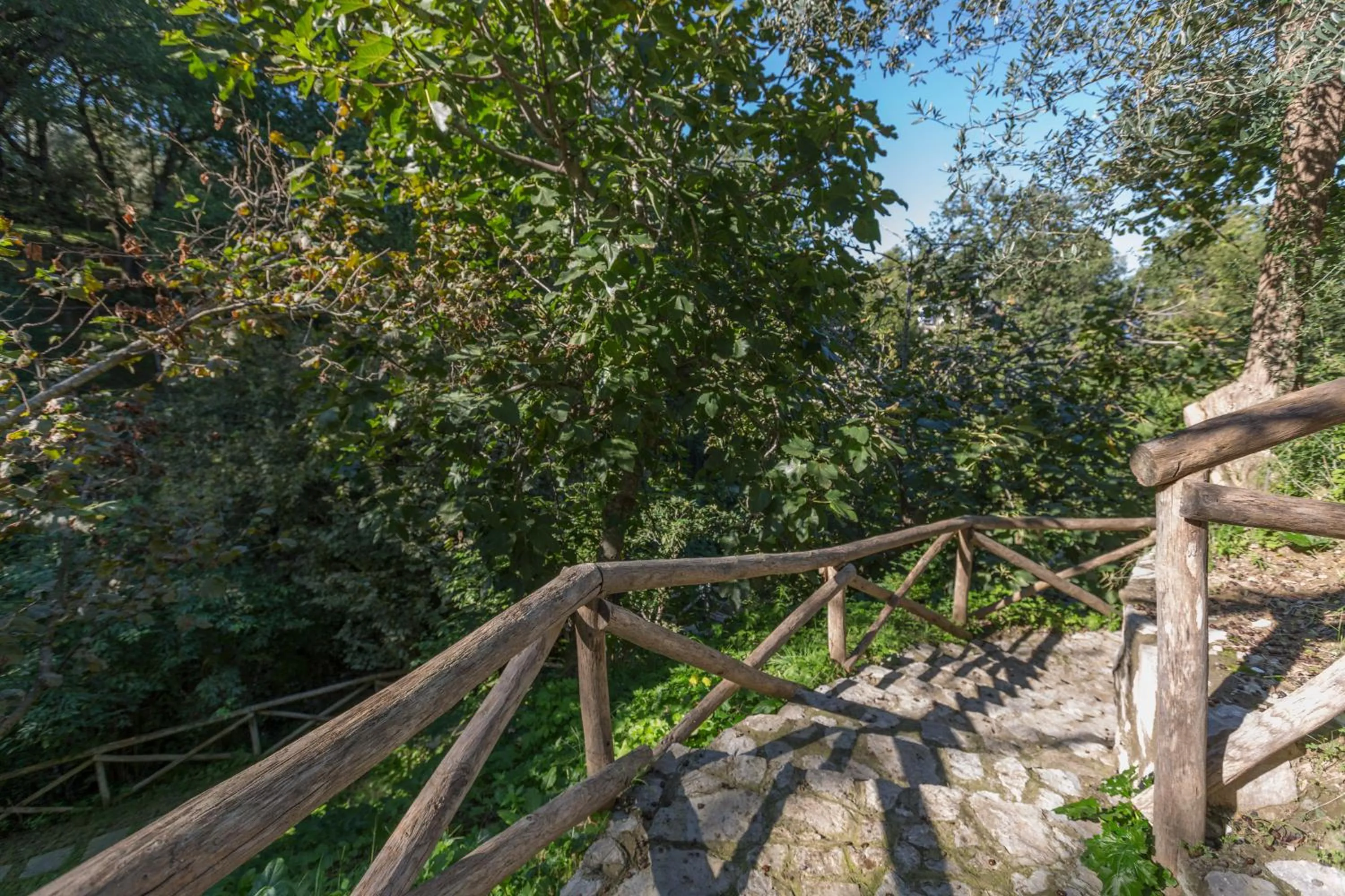 Garden in Sorrento Dream