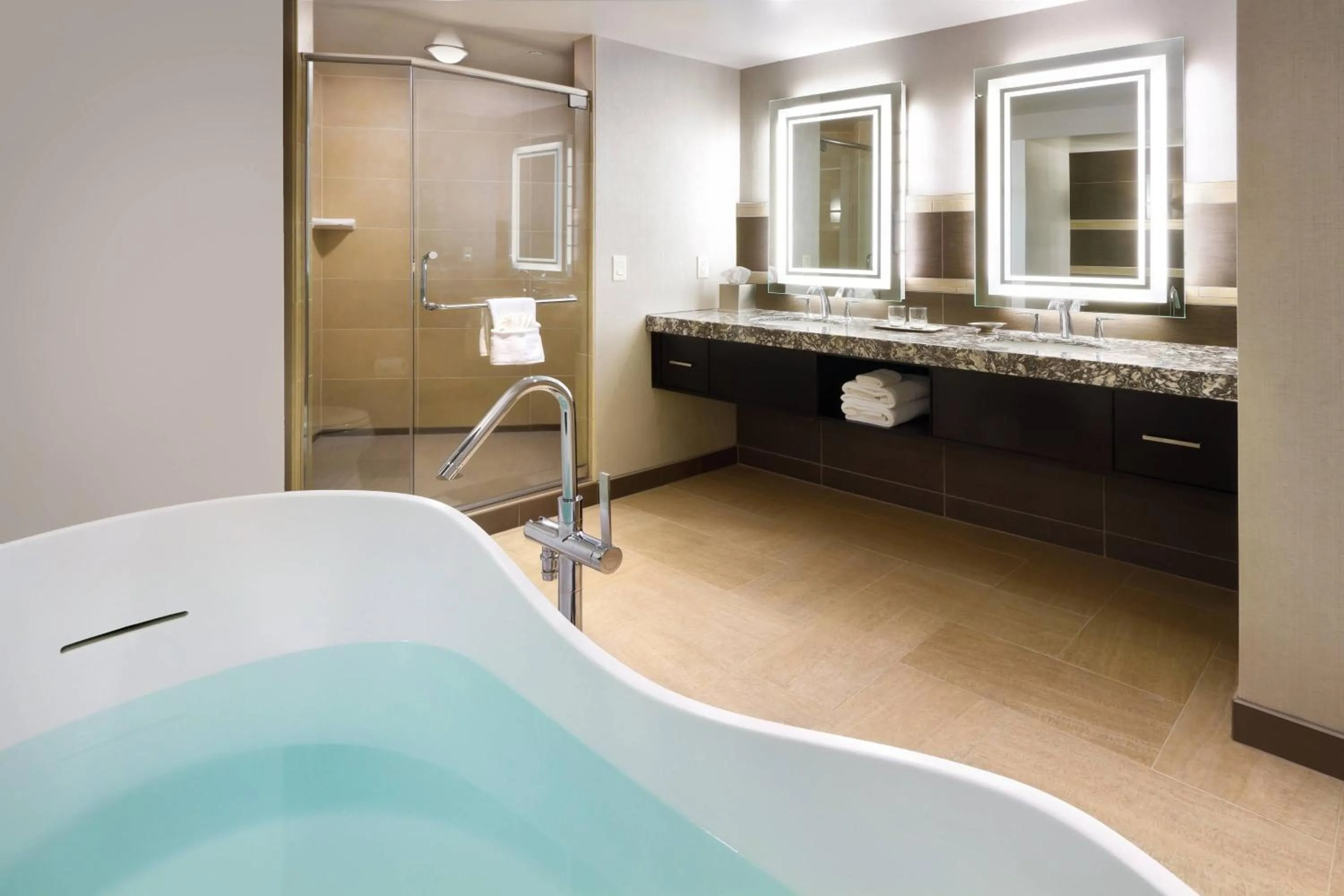 Bathroom in South Sioux City Marriott Riverfront