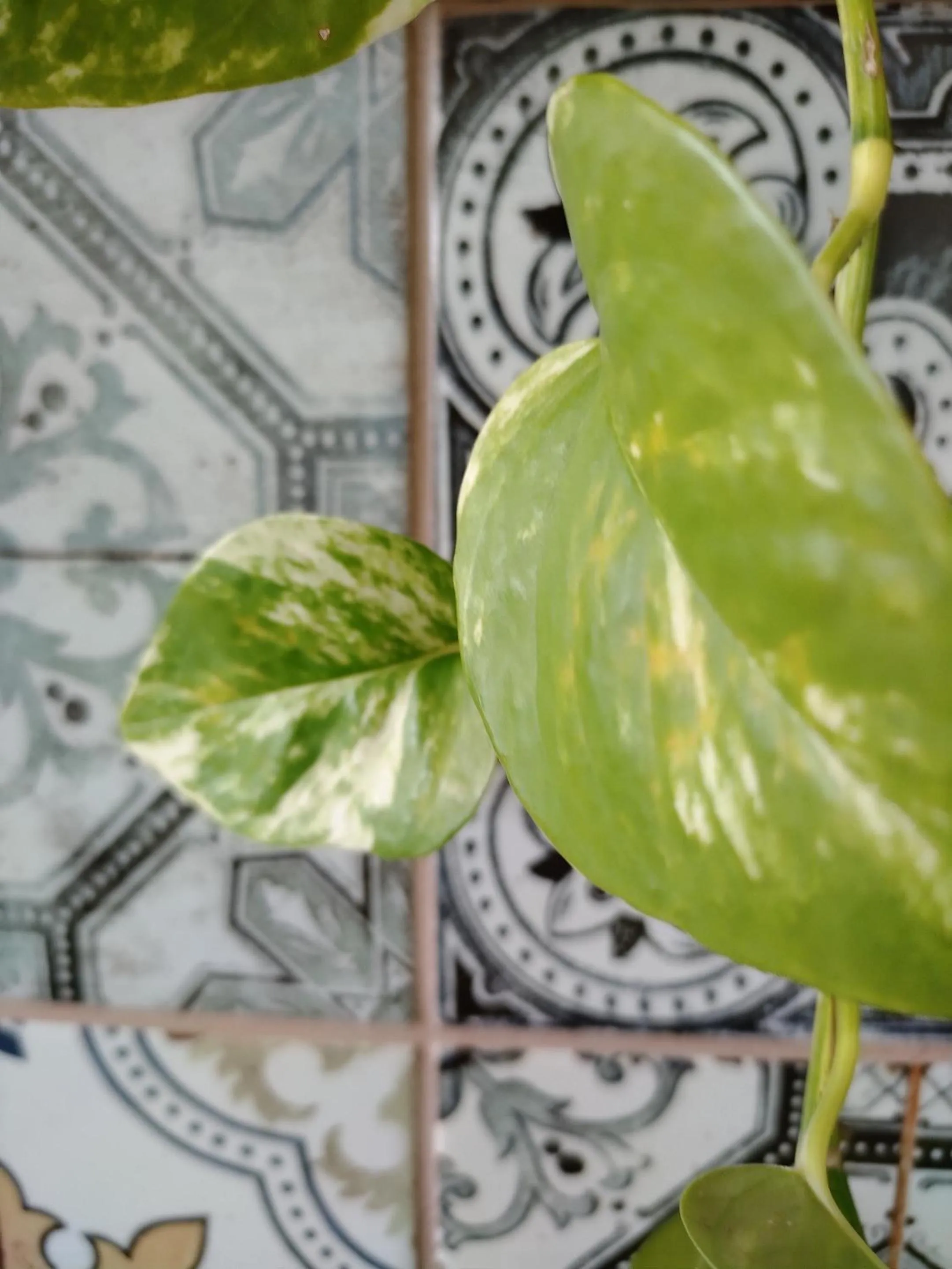 Living room in Auberge La Petite École de Forillon