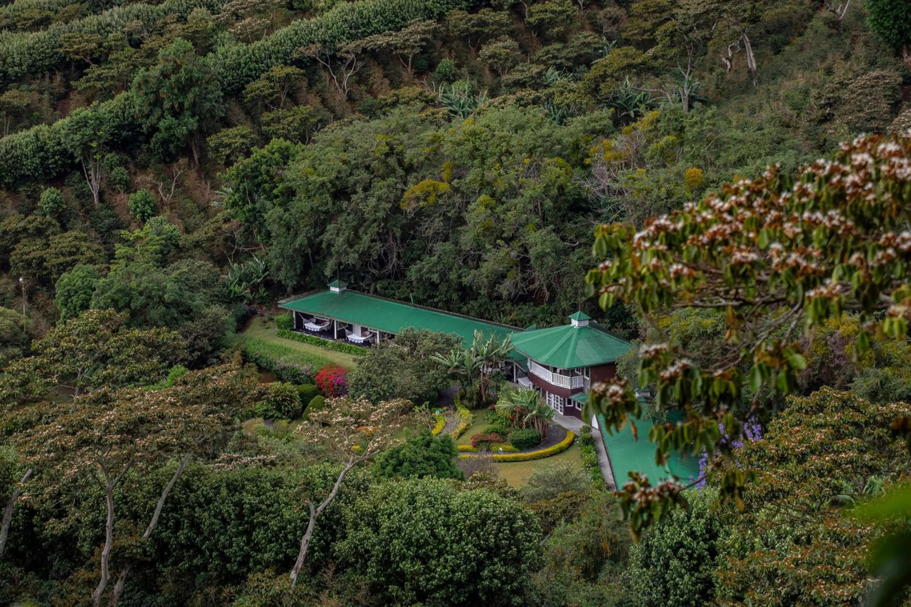 Garden in Hotel Finca Lerida Coffee Plantation and Boutique Hotel