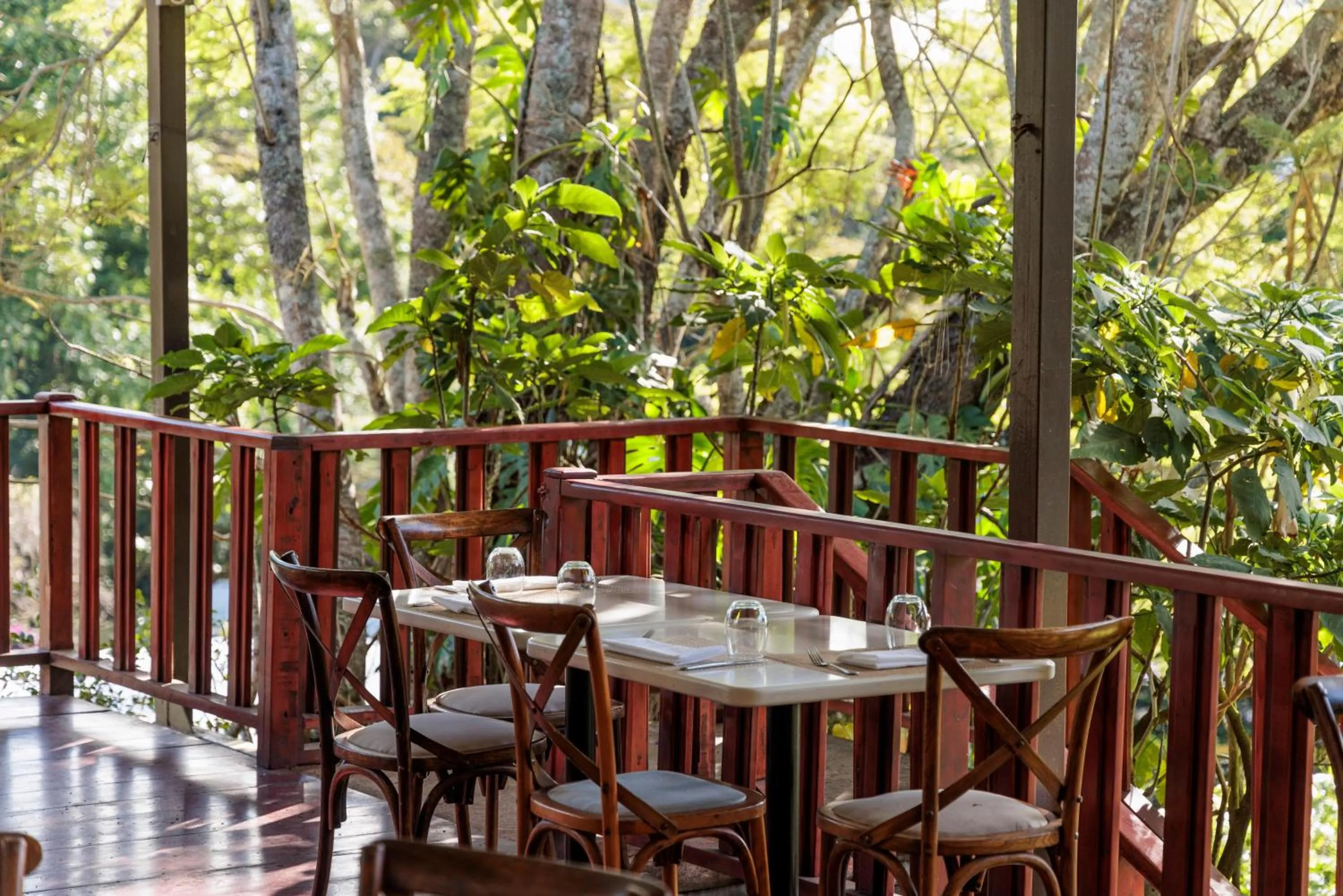 Balcony/Terrace in Hotel Finca Lerida Coffee Plantation and Boutique Hotel