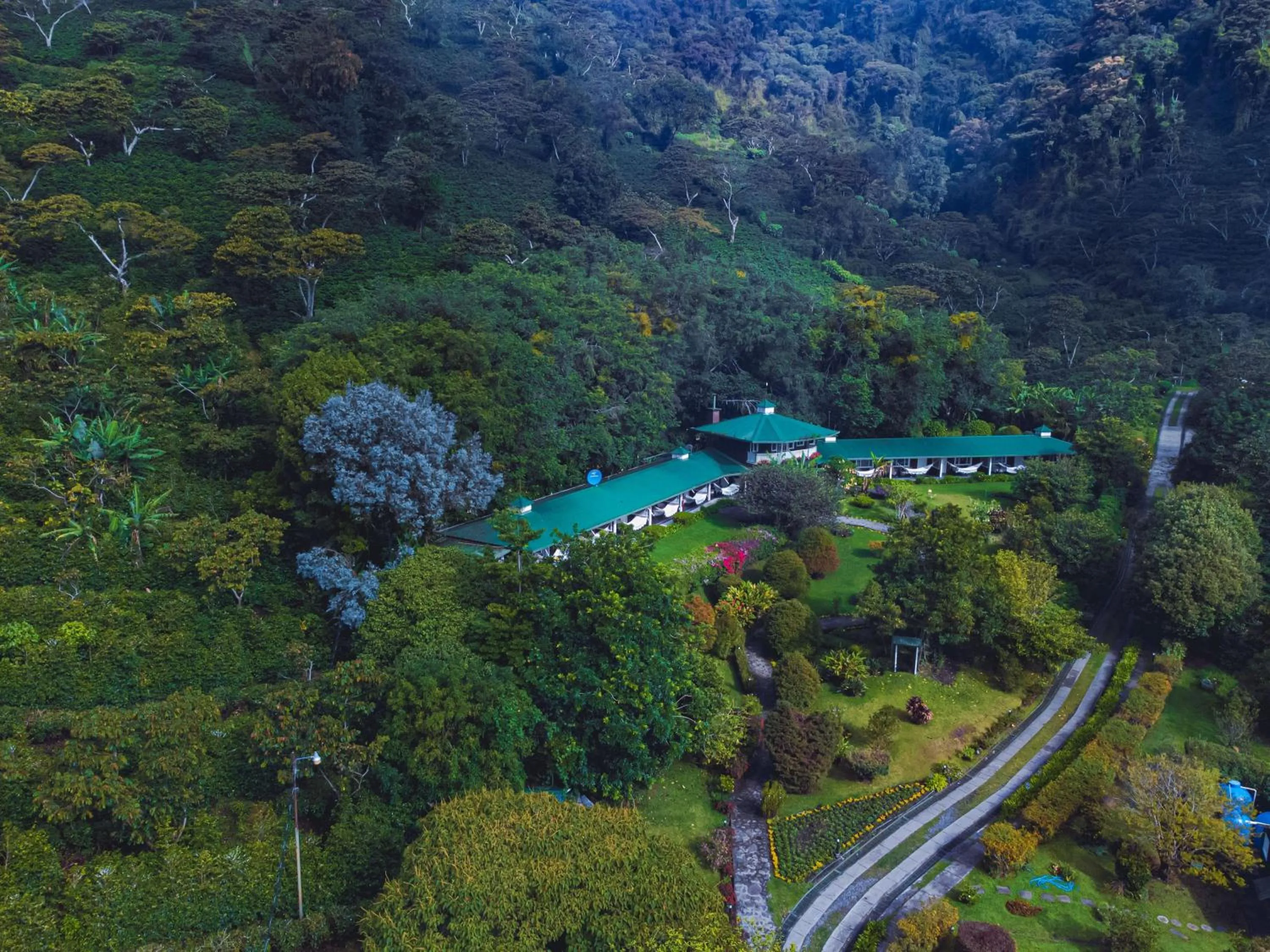 Bird's eye view in Hotel Finca Lerida Coffee Plantation and Boutique Hotel