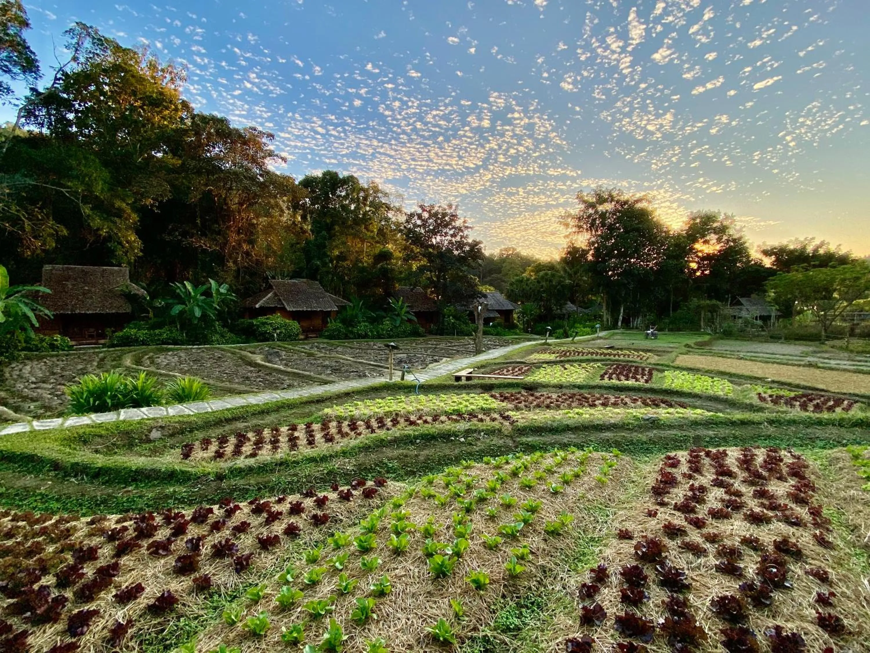 Fern Resort Mae Hong Son