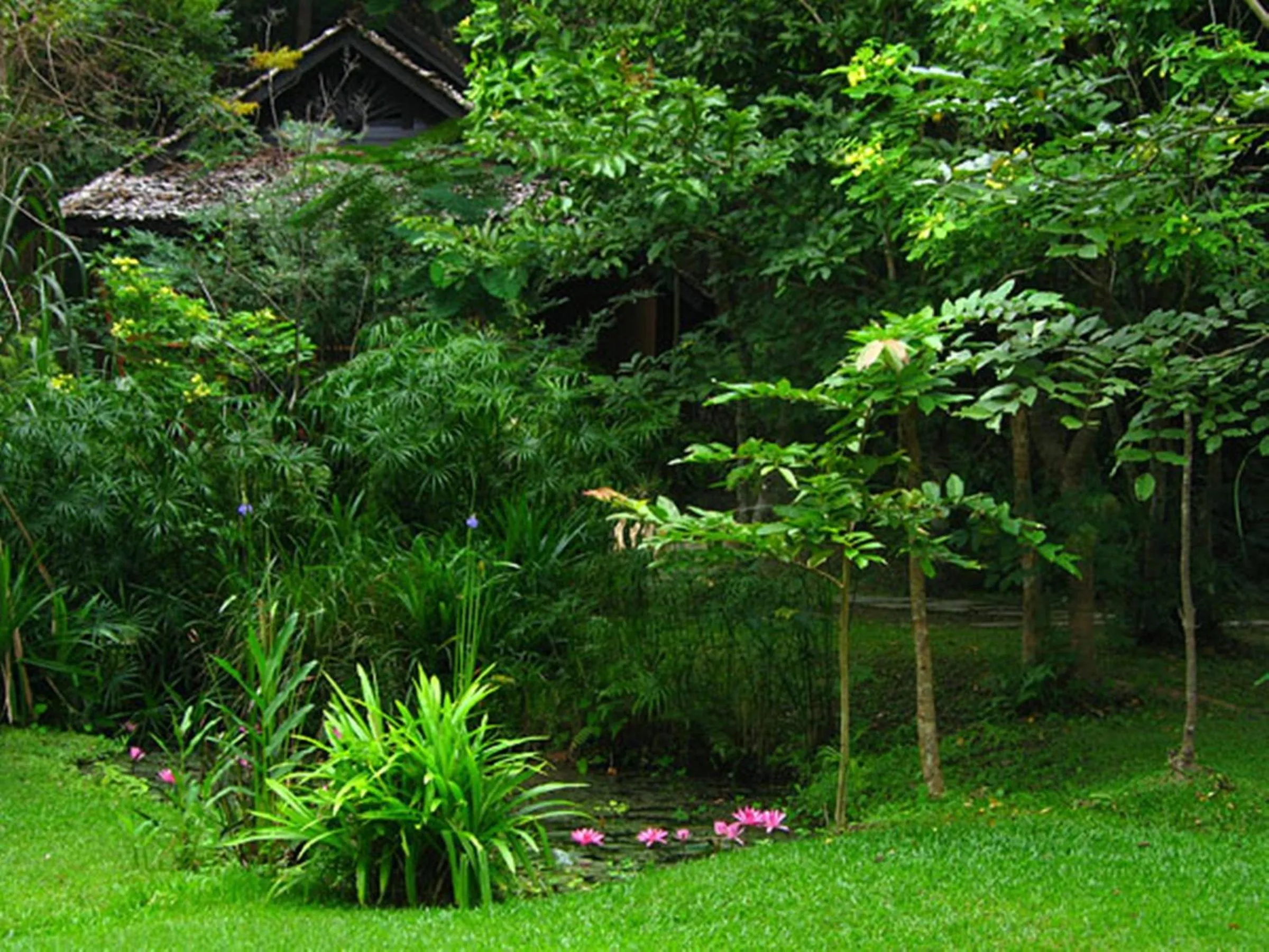 Garden in Fern Resort Mae Hong Son