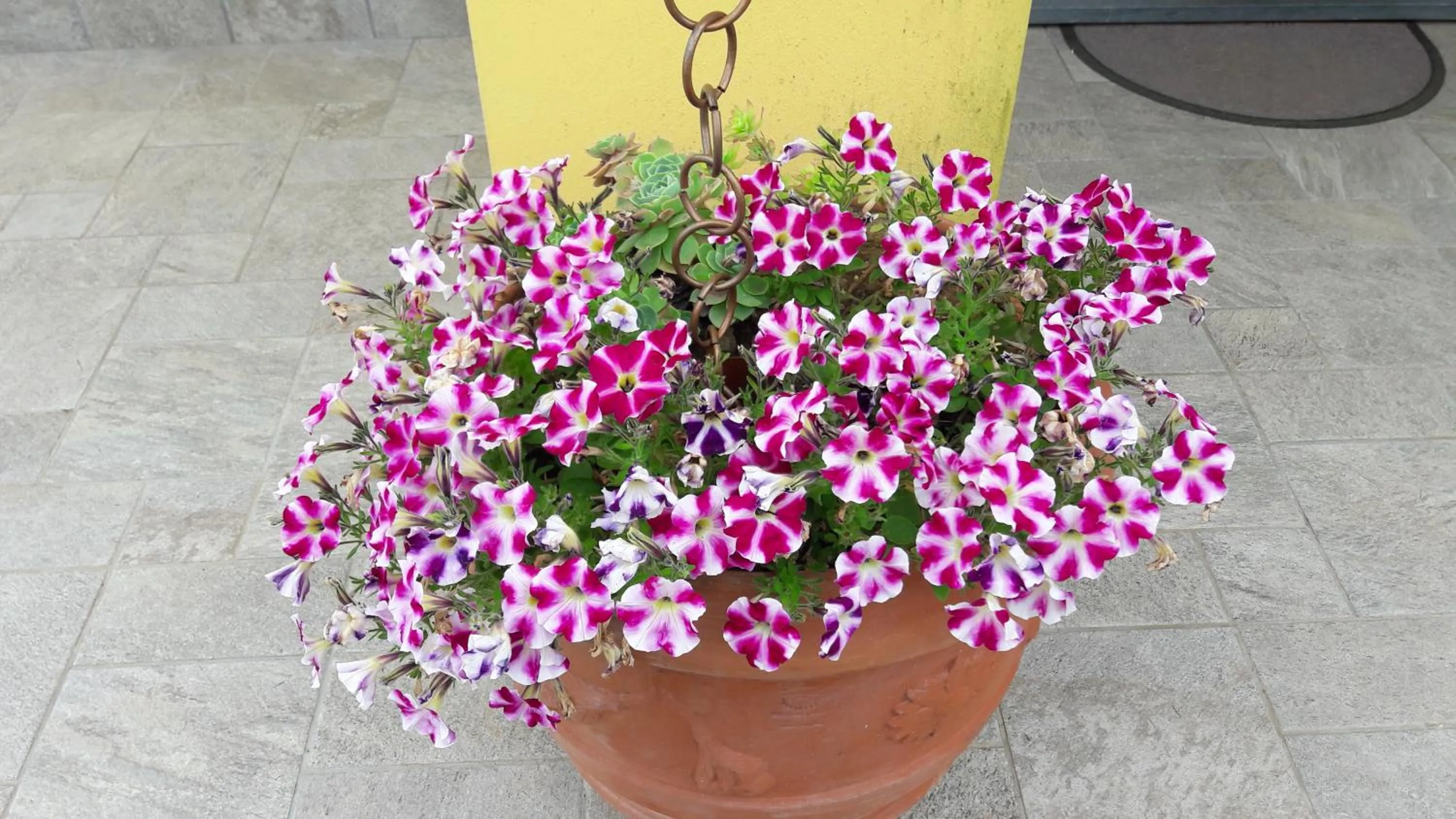 Decorative detail in B&B Oasi Verde